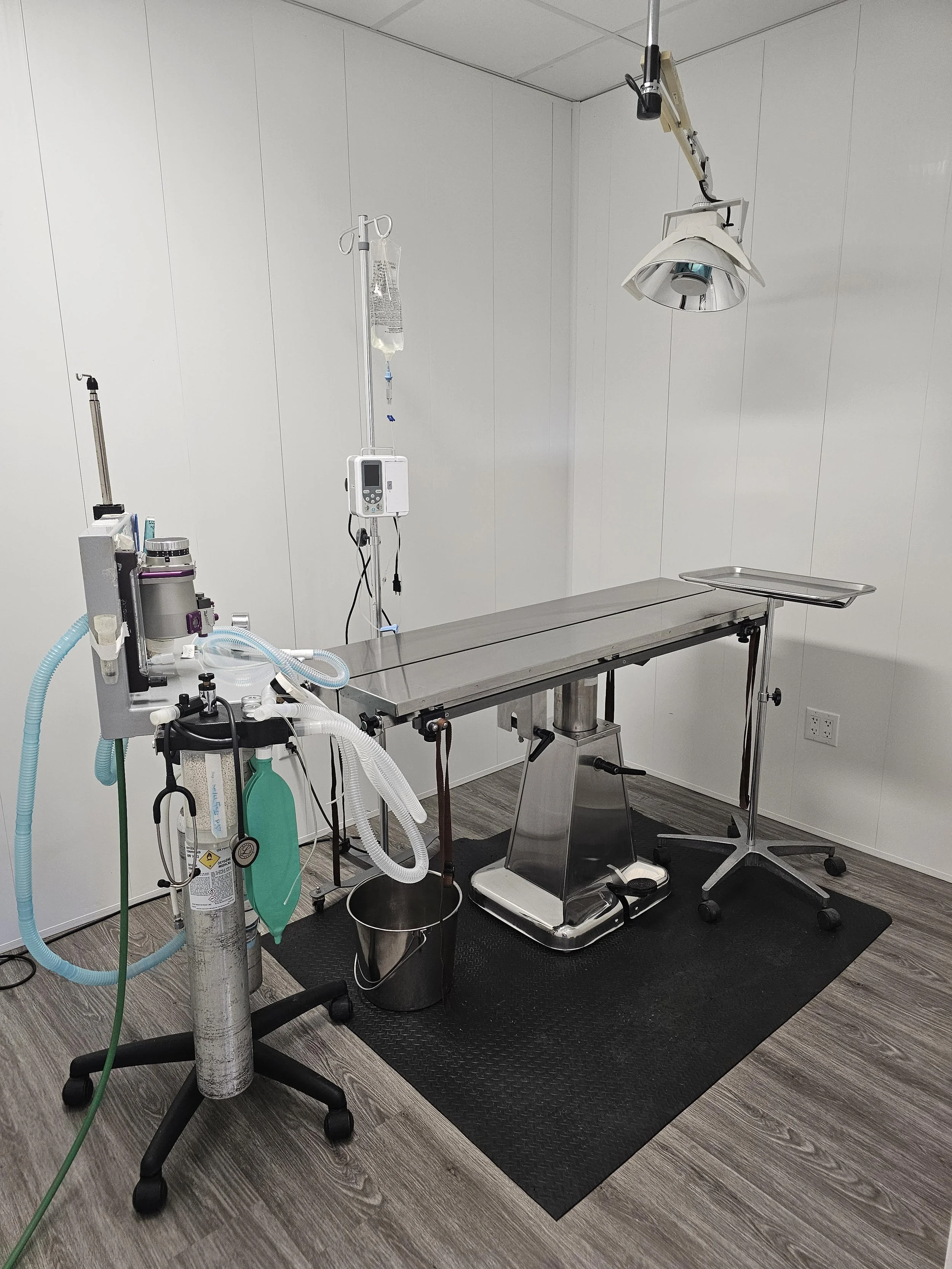 Empty veterinary surgical room with an operating table, medical equipment, overhead surgical light, IV stand, and surgical tools.