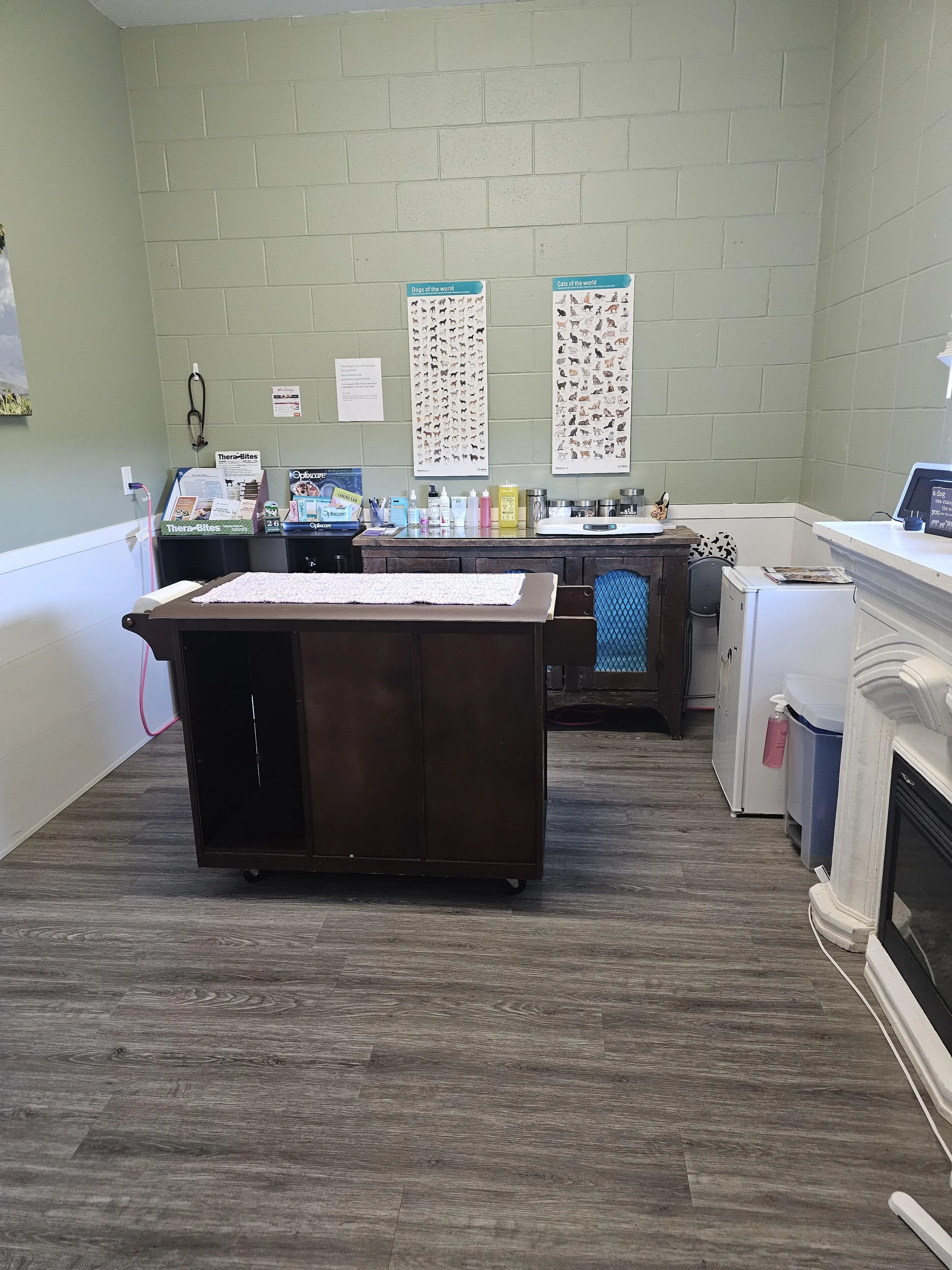 Veterinary clinic examination room with a dark brown rolling table, a cabinet with pet supplies, posters of dogs and cats on the wall, and a fireplace.