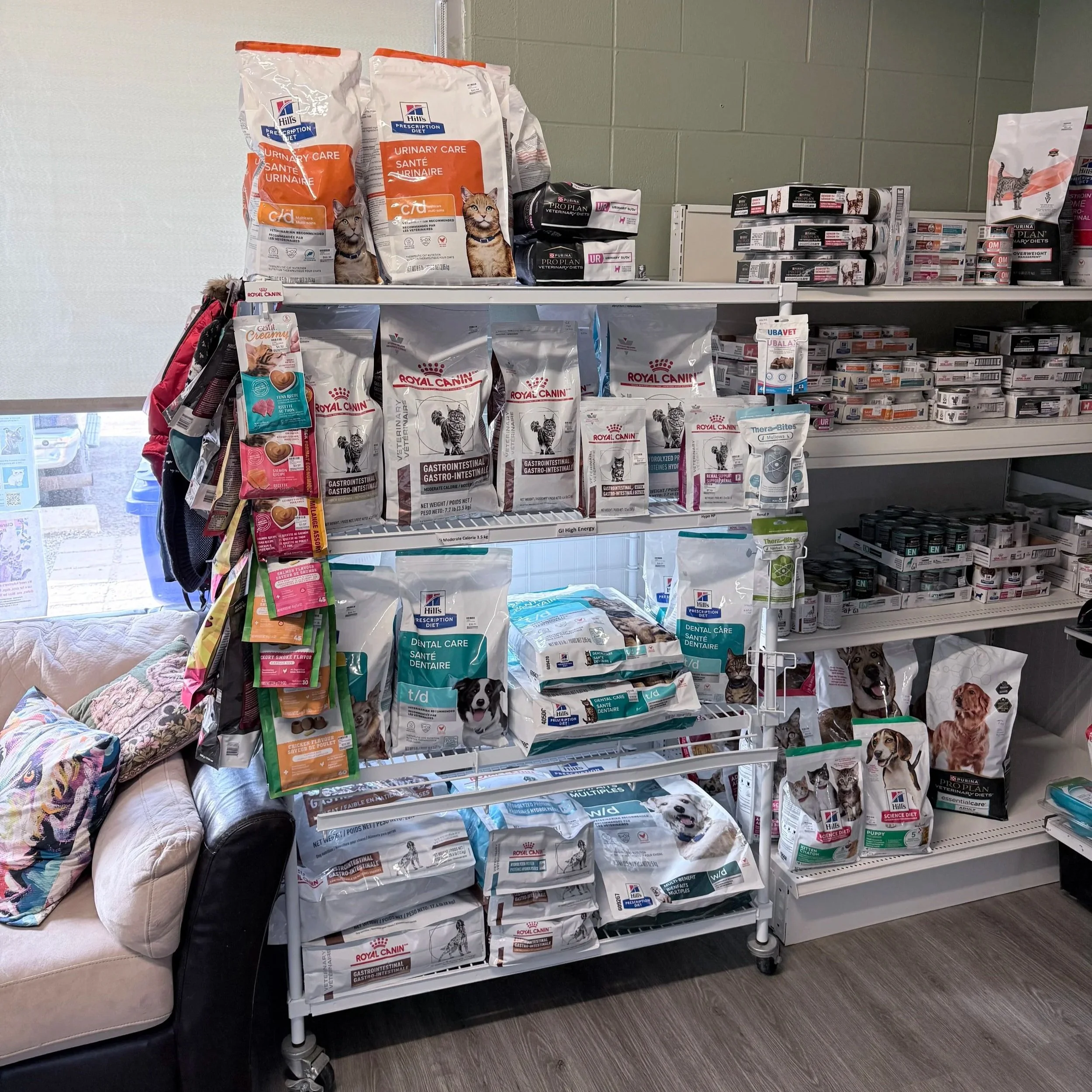 Shelves filled with various bags of pet food and treats, including brands for cats and dogs, along with a small resting area with pillows on a couch to the left.