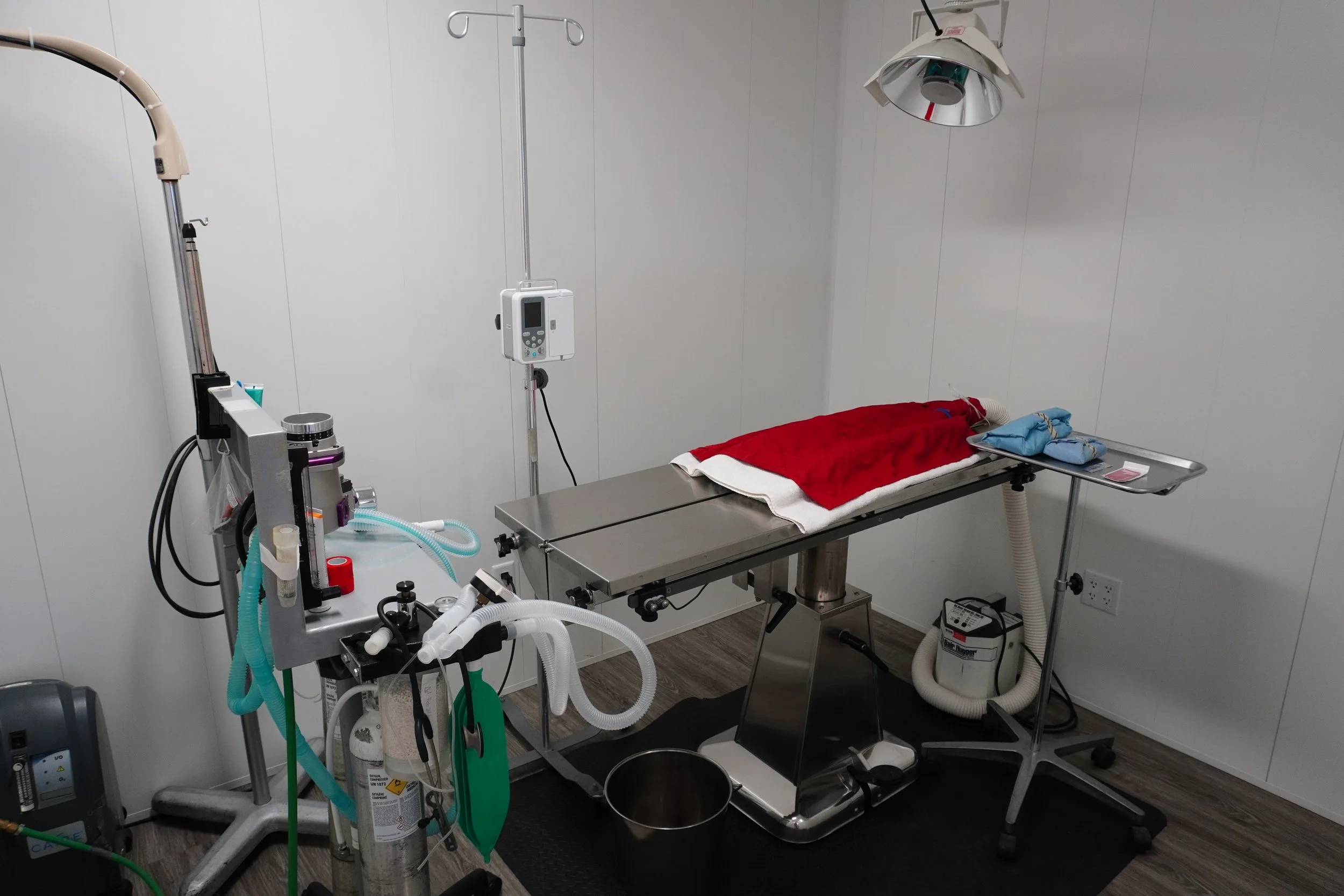 A veterinary operating room with a metal examination table covered with a red blanket, surrounded by medical equipment including an anesthesia machine, monitor, surgical light, and supplies, with a white wall background.