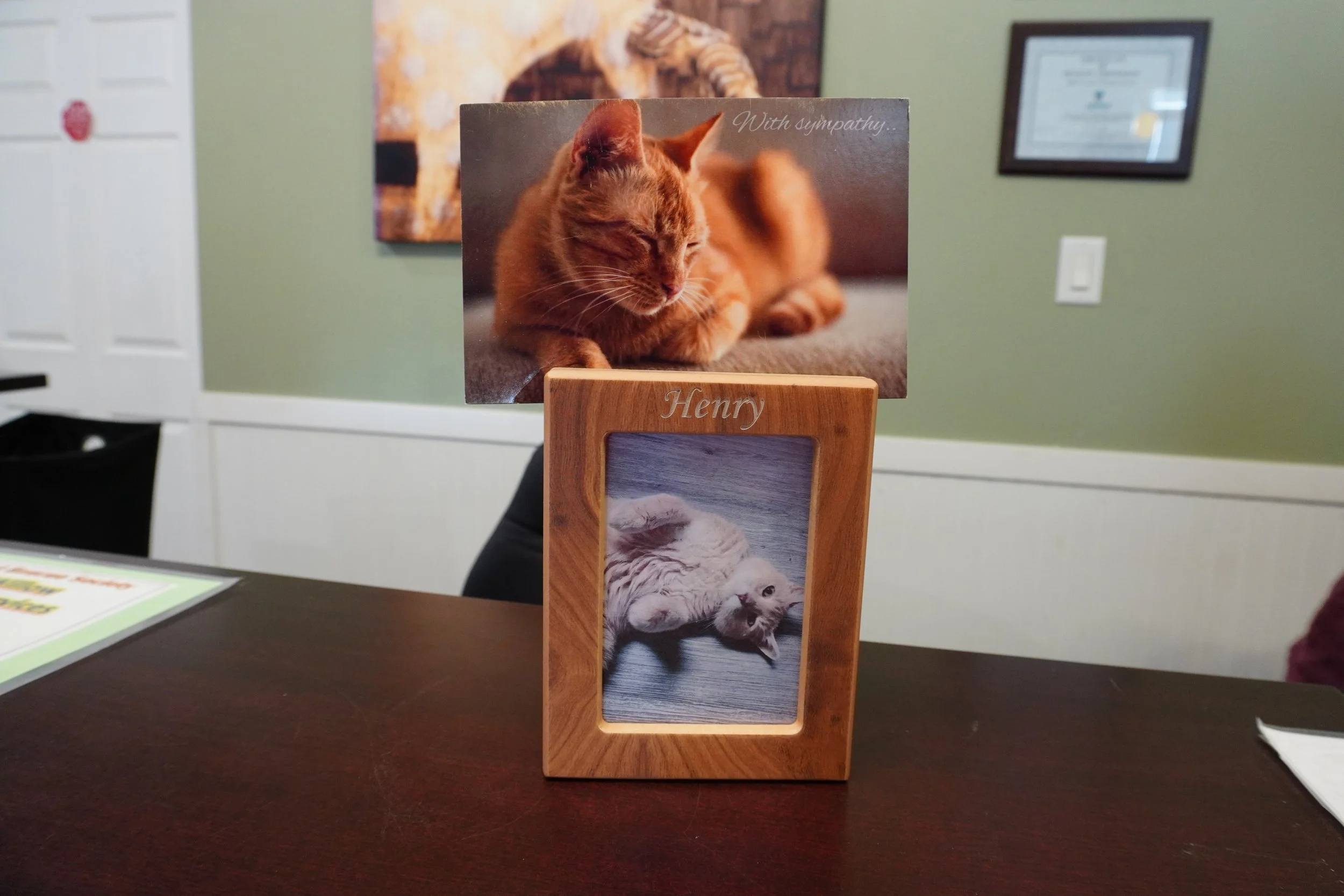 A wooden picture frame on a table featuring a photo of a gray kitten lying on its back. Behind it, a card with a photo of a brown cat lying down with eyes closed and the text 'With sympathy.' in the top right corner.