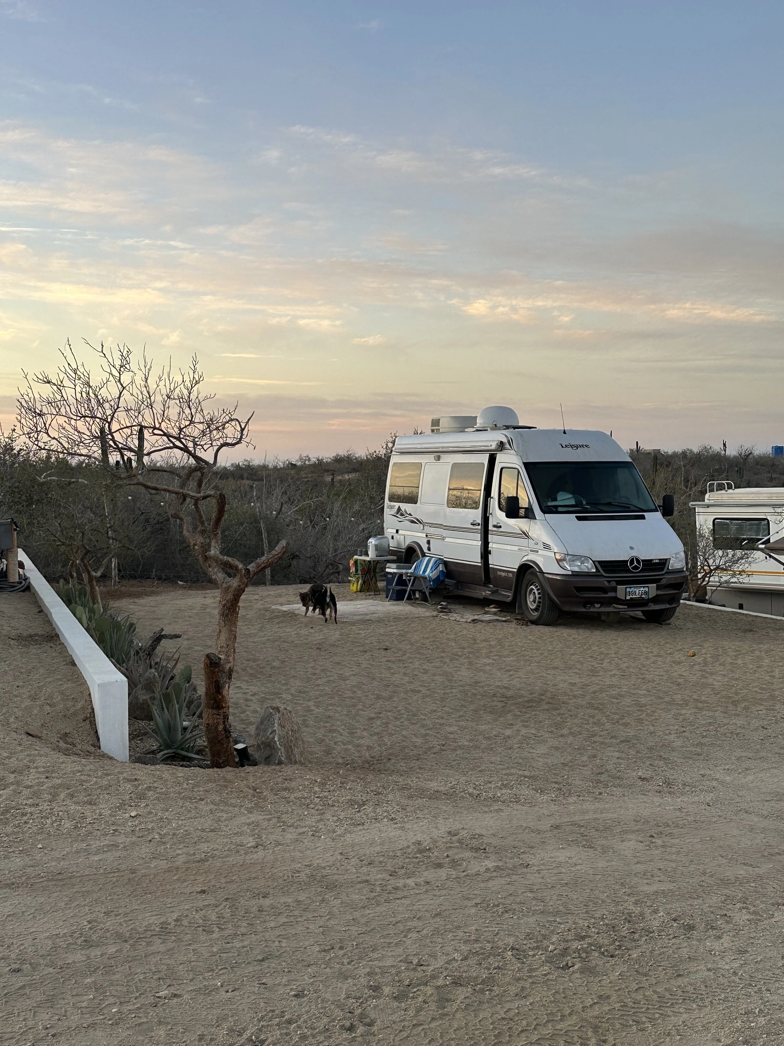 Site 2.jpg