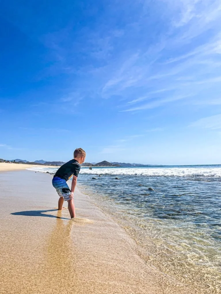 Playa-San-Pedrito-beach-Baja-768x1024.jpg