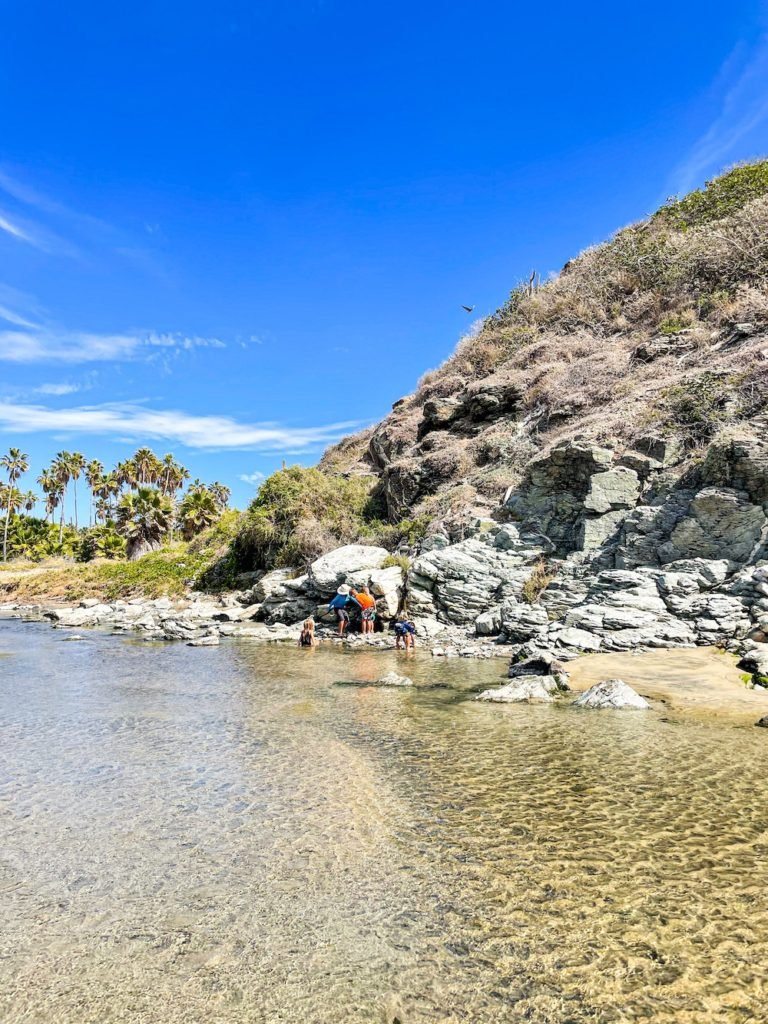 Playa-Las-Palmas-El-Pescadero-Baja-768x1024.jpg