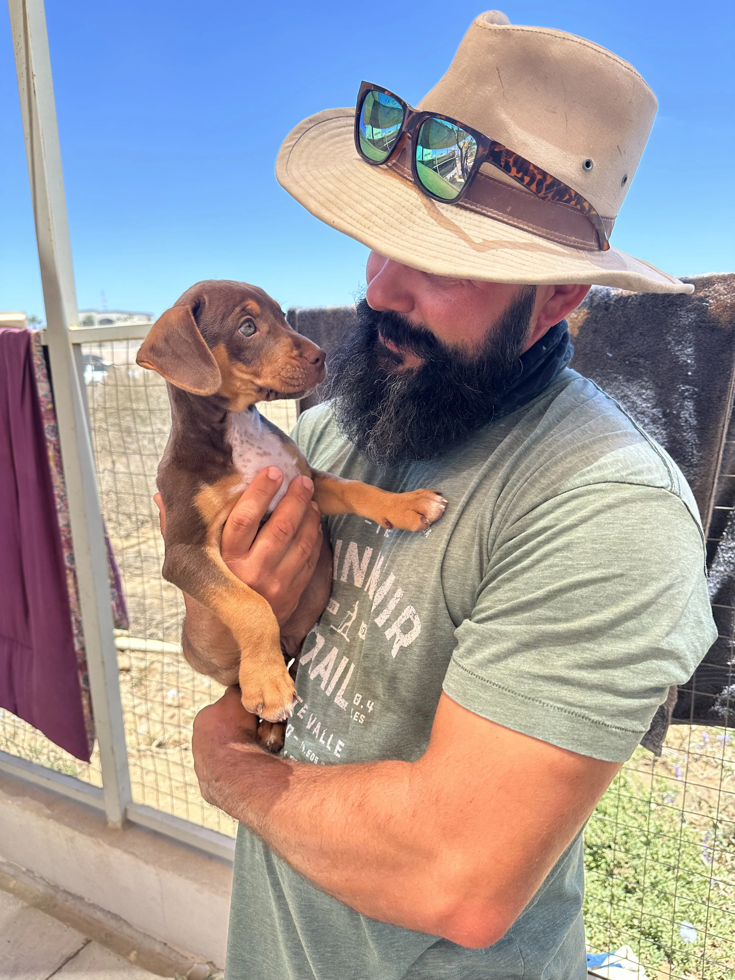 cerritos beach dogs rescue.jpg