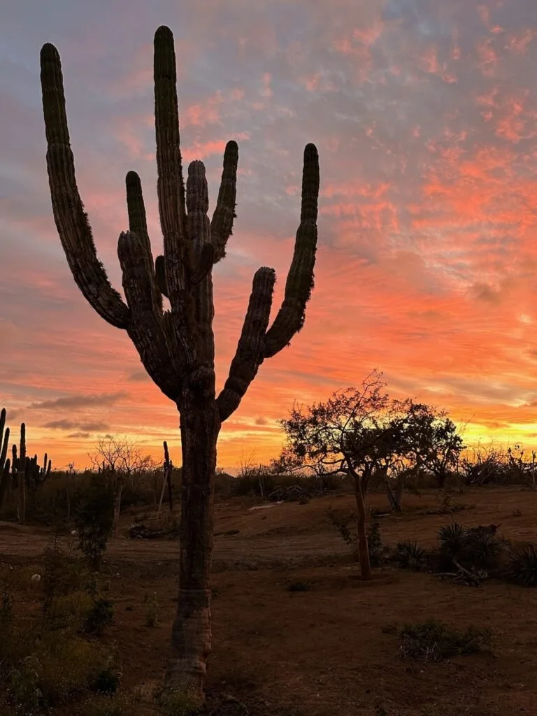 Camp-Cerritos-Sunset-View-768x1024.jpg