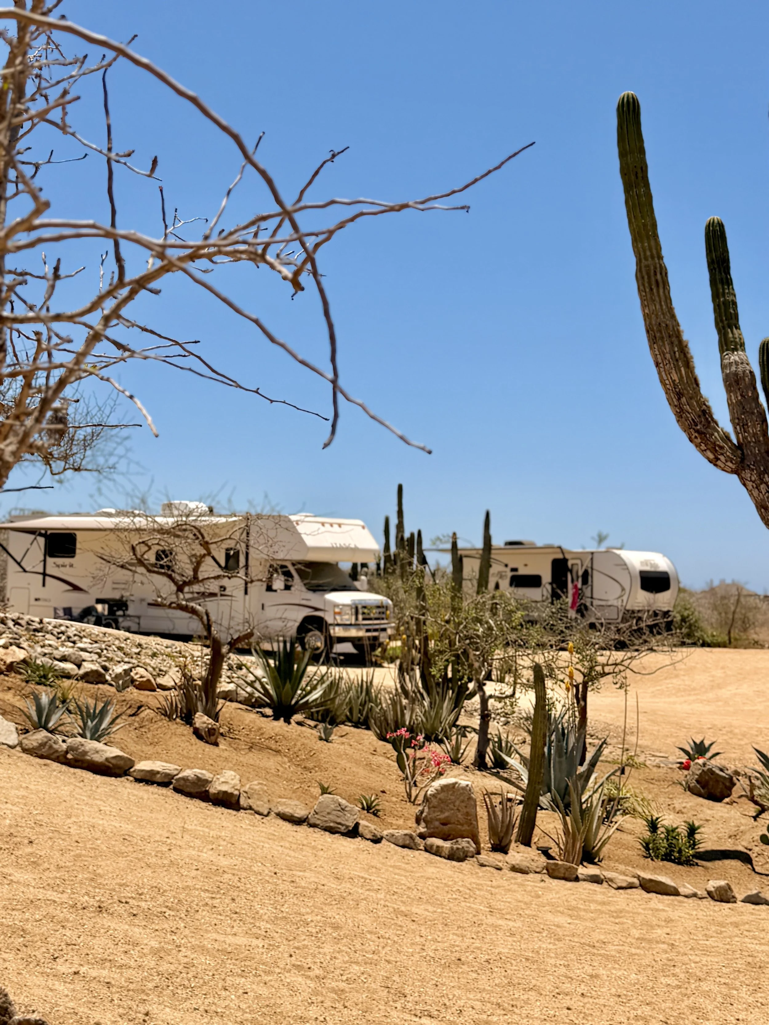 Camping Cerritos Baja California Sur.jpg