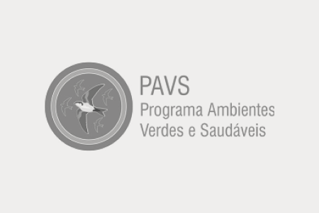 logo-pavs.png