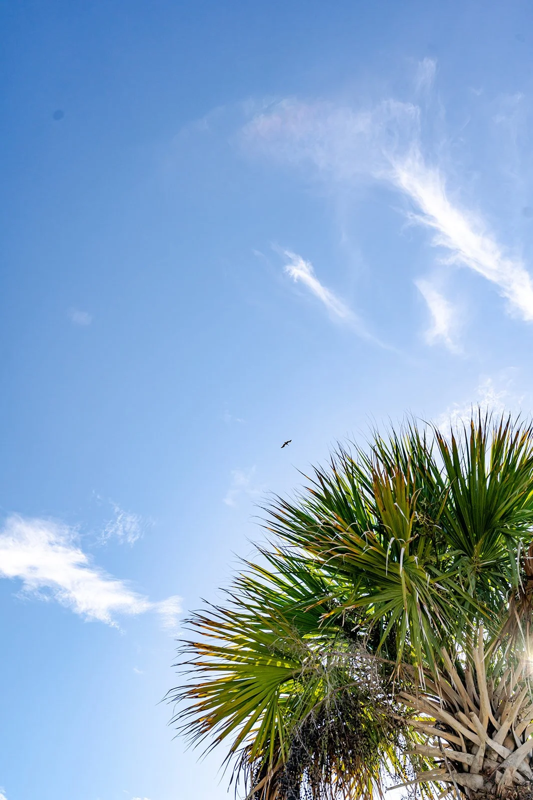 Marketing Agency for Vacation Homes