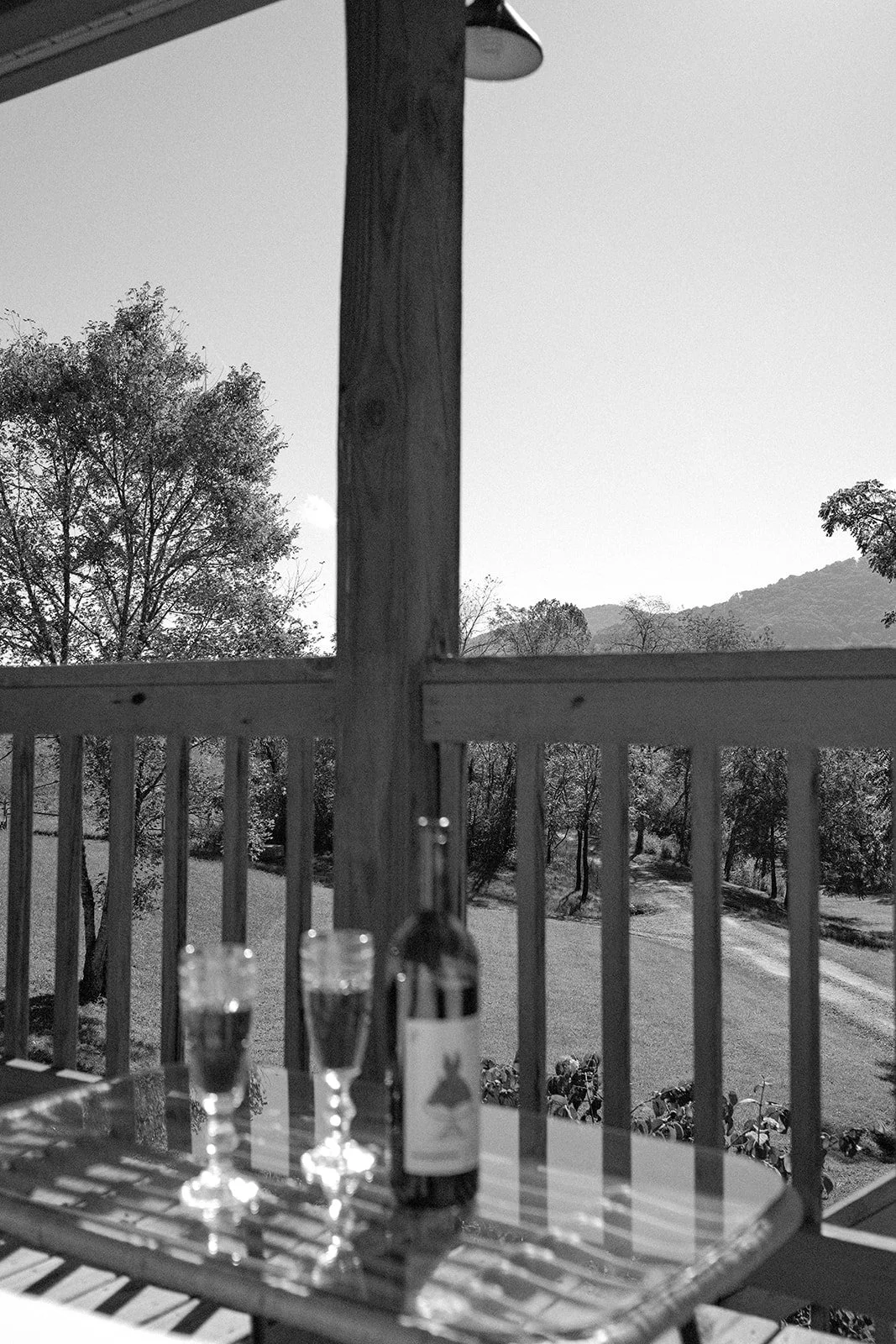 DURRANT FARMS _ ASHEVILLE, NC AIRBNB-124_websize.jpg