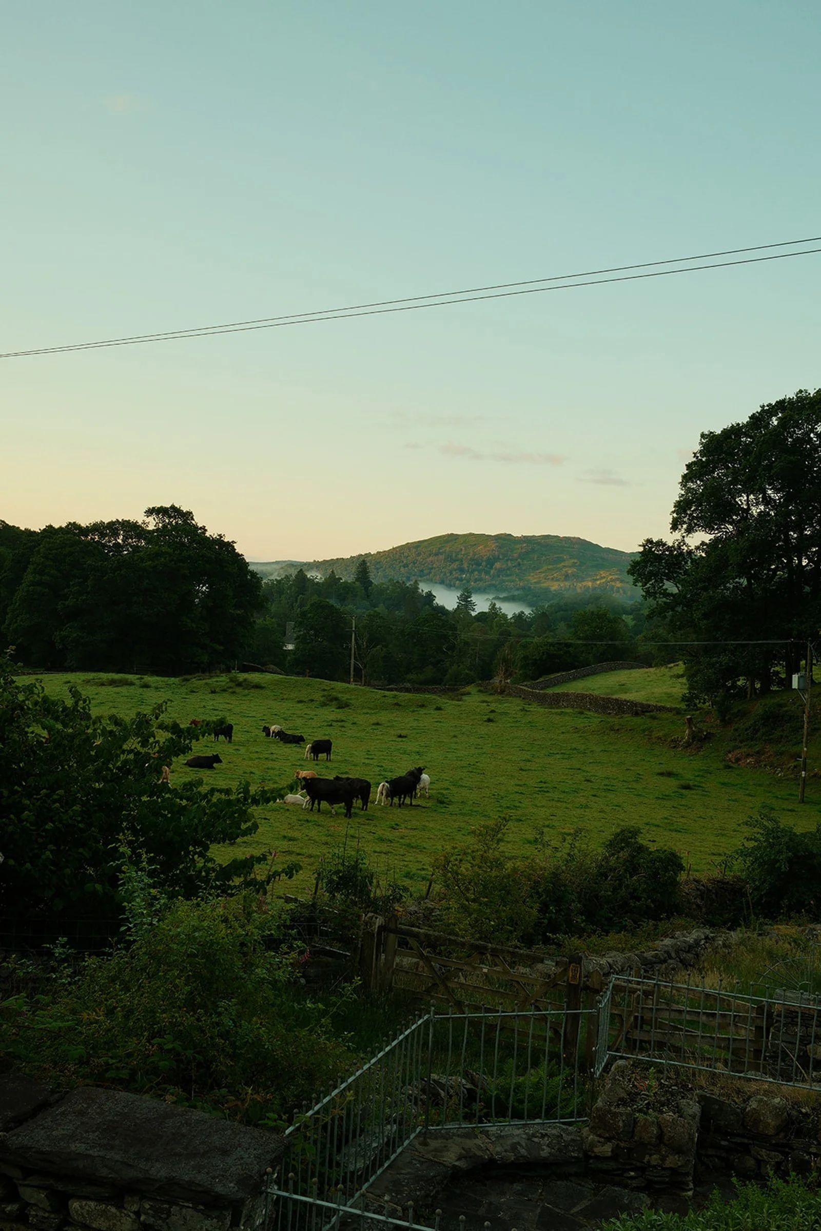 lake district holiday cottage marketing