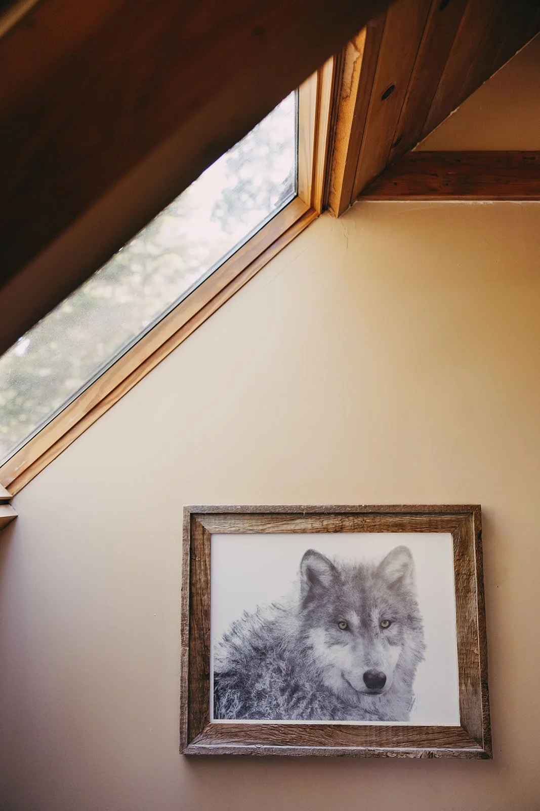 full service marketing agency STR