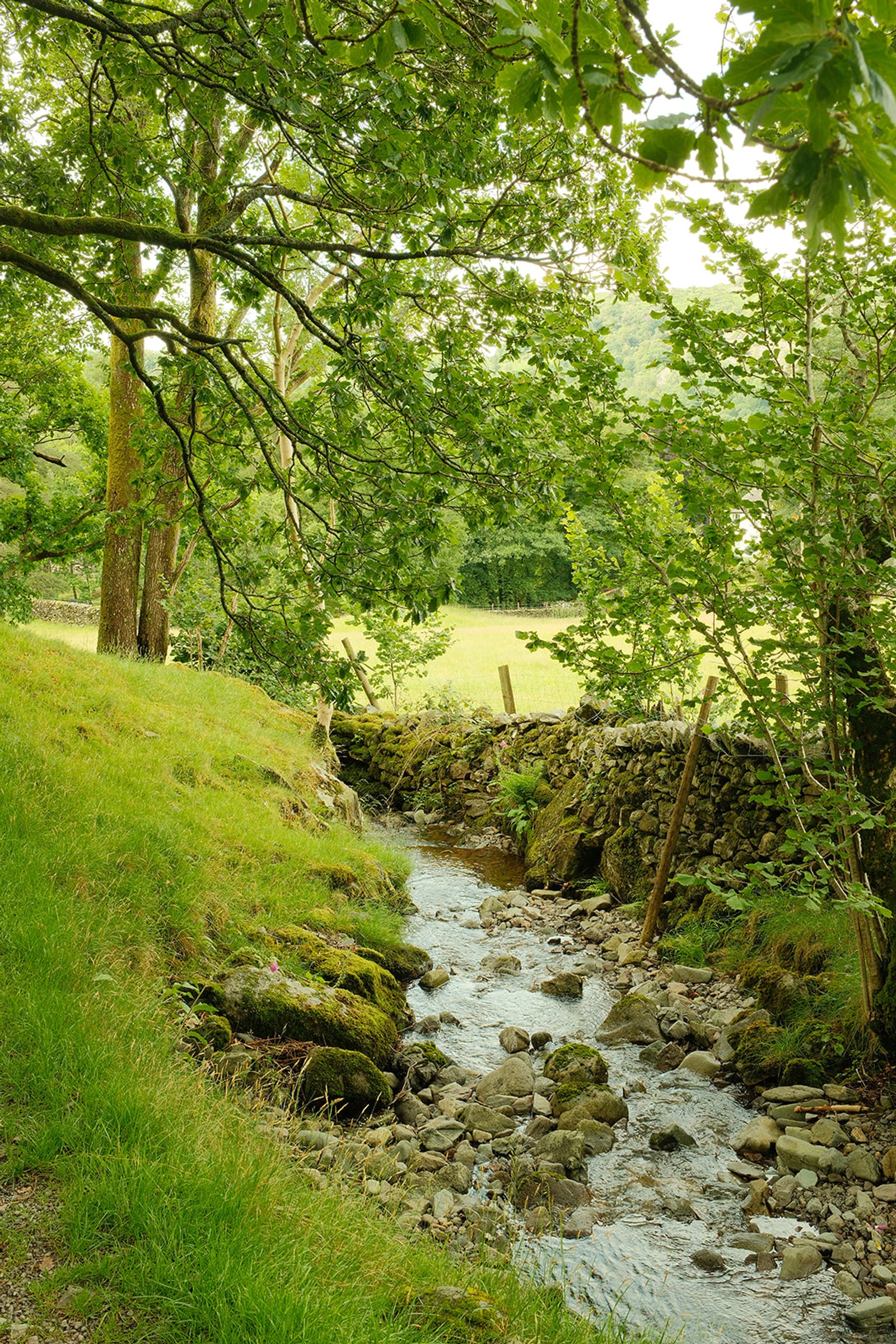 DSCF0710_websize (2).jpg