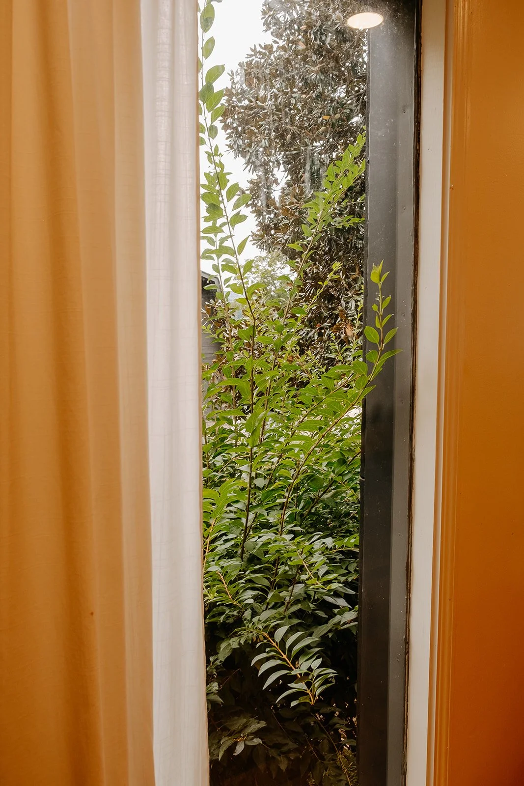View from Kentucky Airbnb