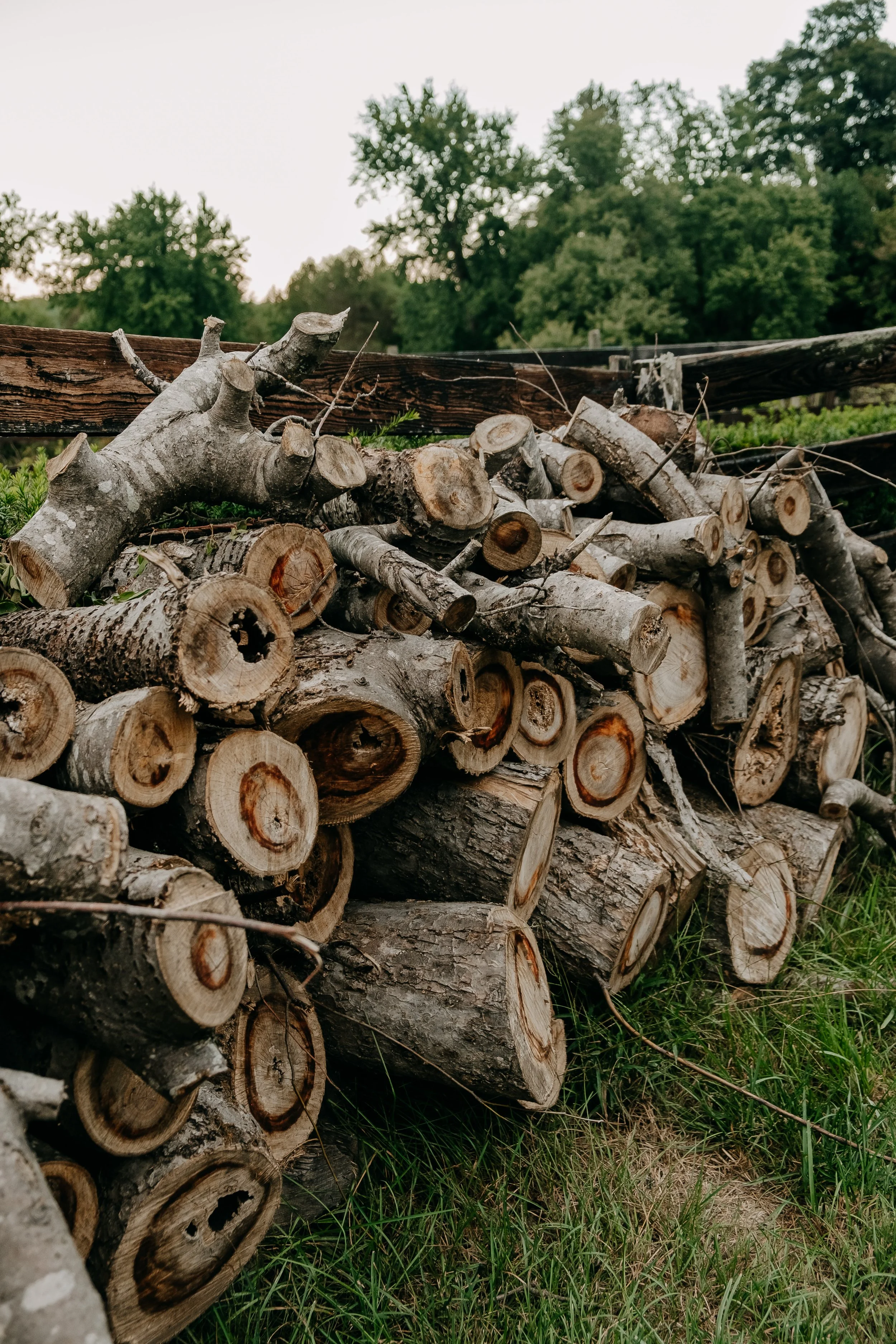 hospitality marketing agency for Kentucky Airbnbs