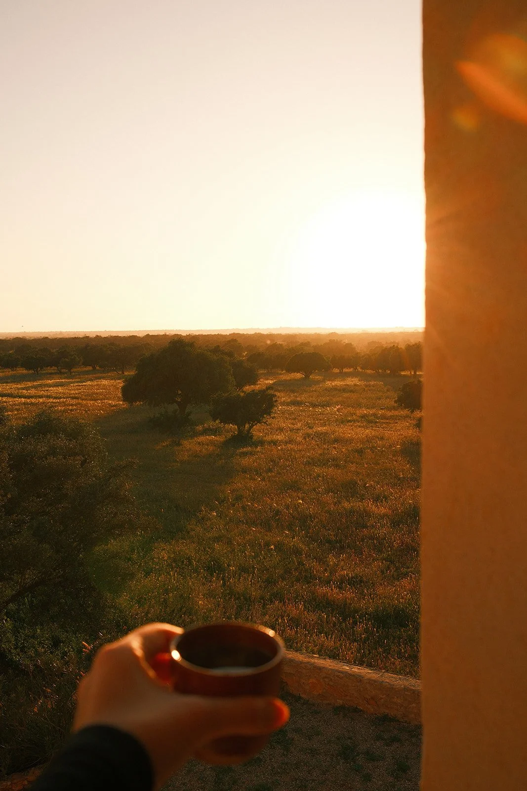Vacation Rental in Morocco Marketing
