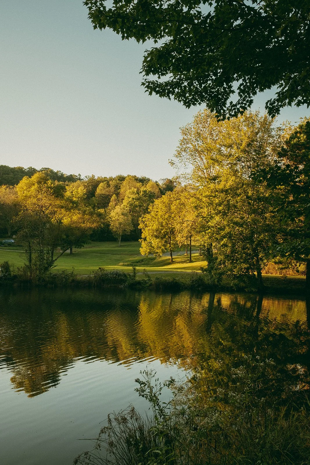 Airbnb Social Media Manager