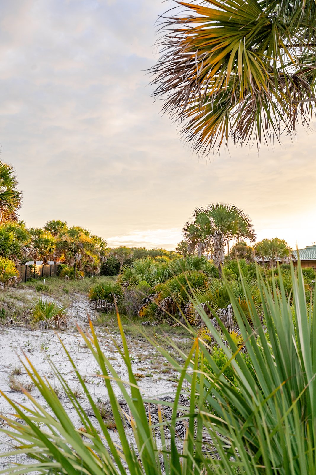 Airbnb Photographer Florida