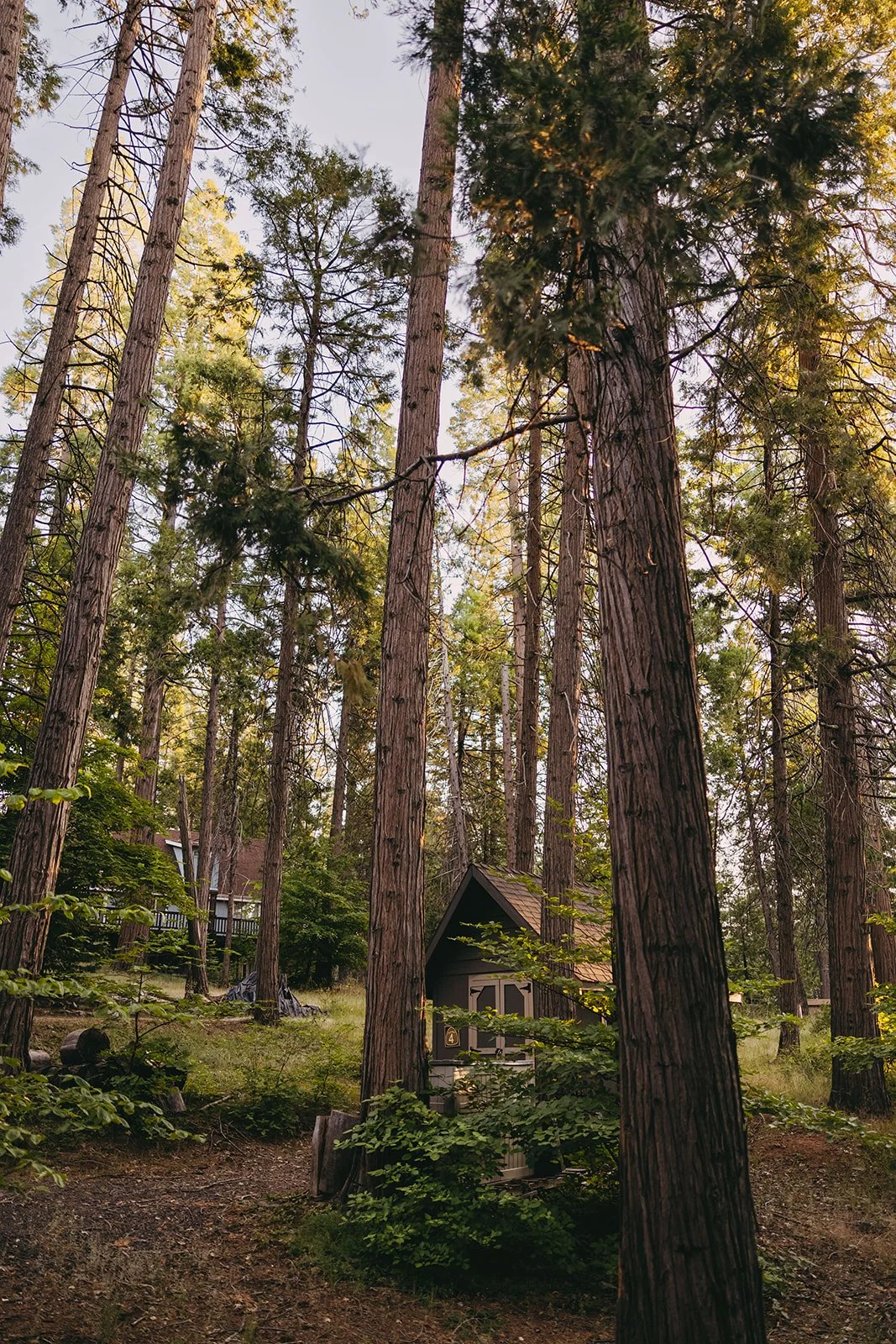 short term rental marketing agency