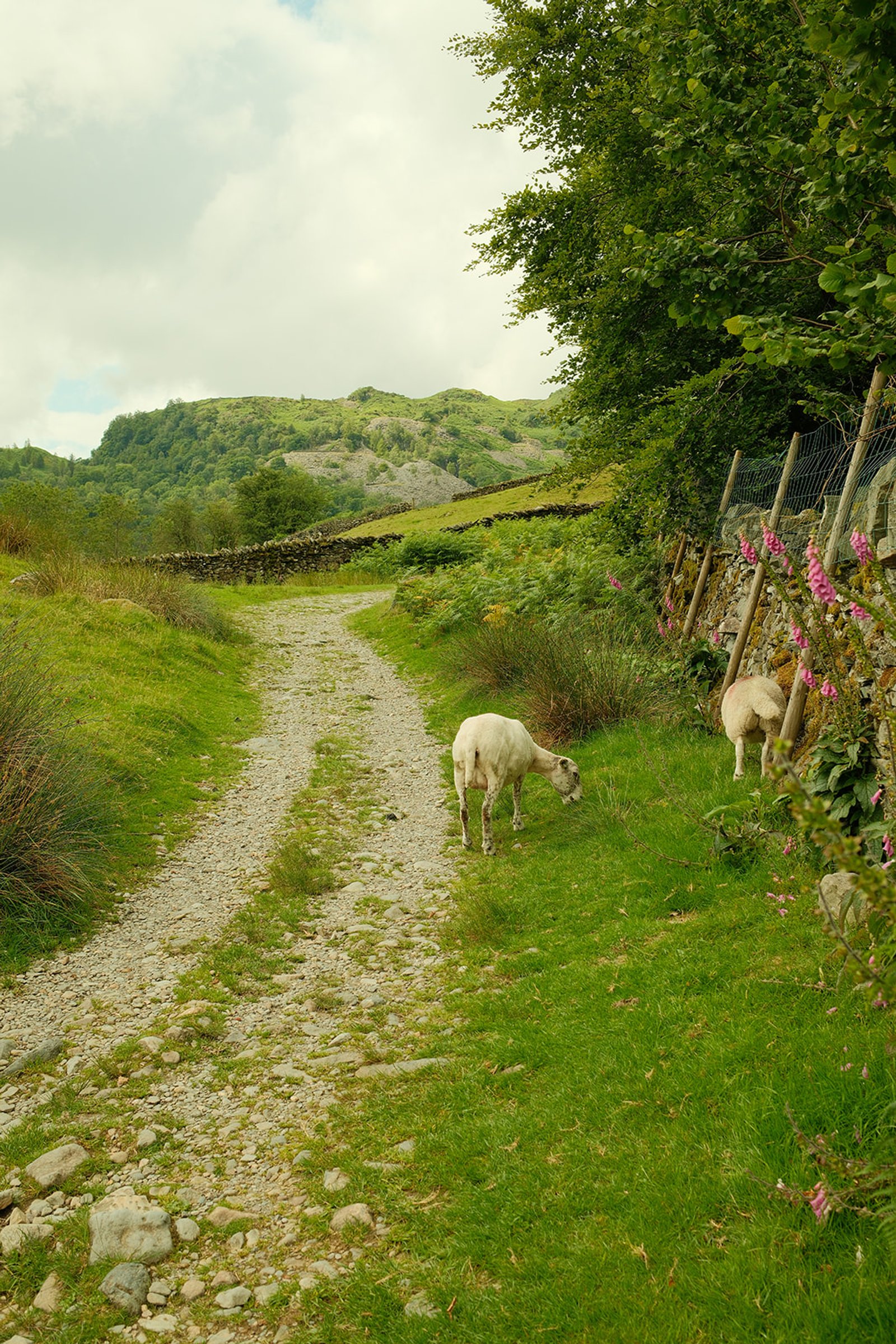 DSCF0738_websize (1).jpg
