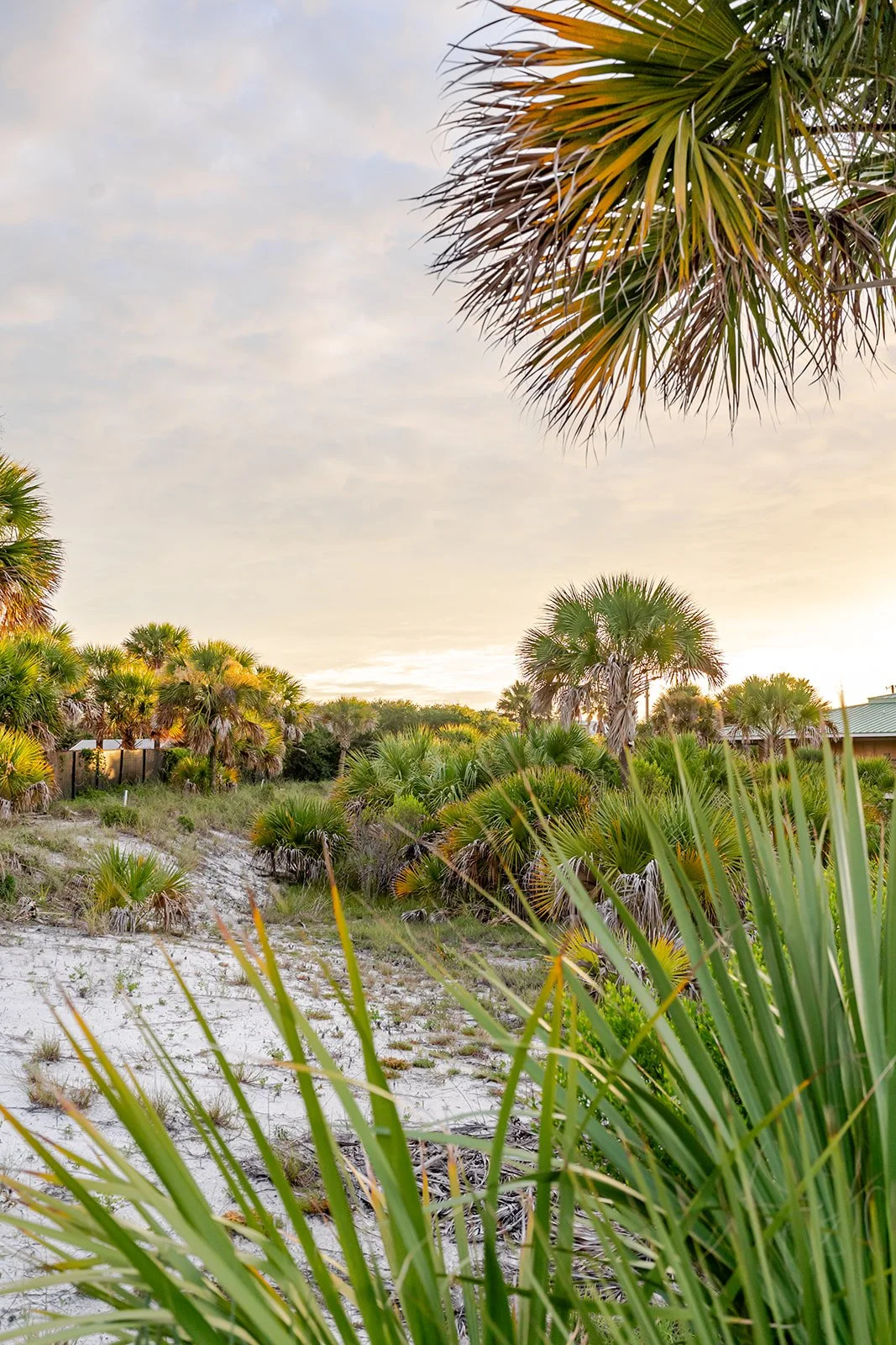 Vacation Home Marketing Agency