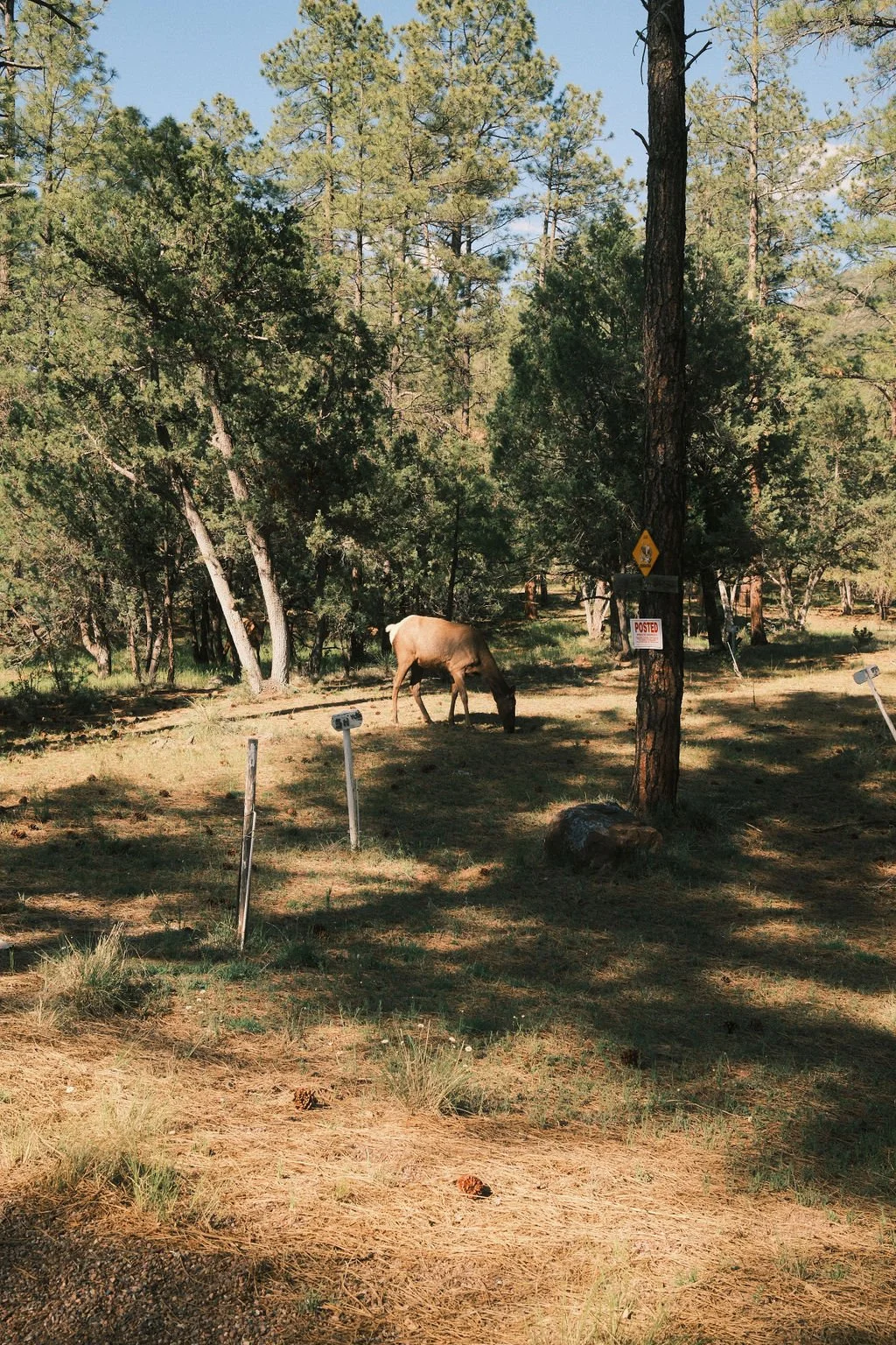 PineChalet_AirbnbinPine,Arizona-221 (1).jpg