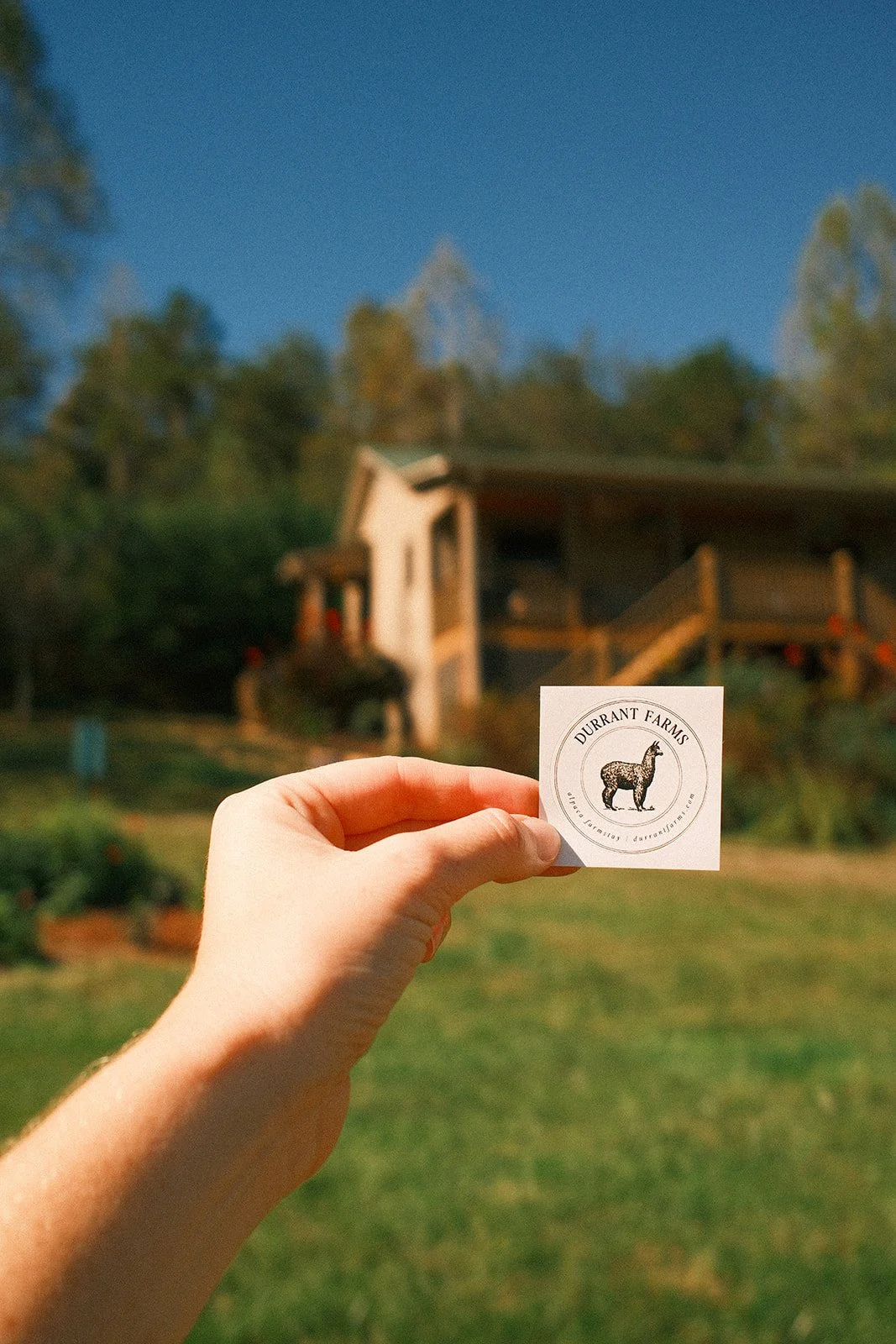 VRBO Marketing Strategy