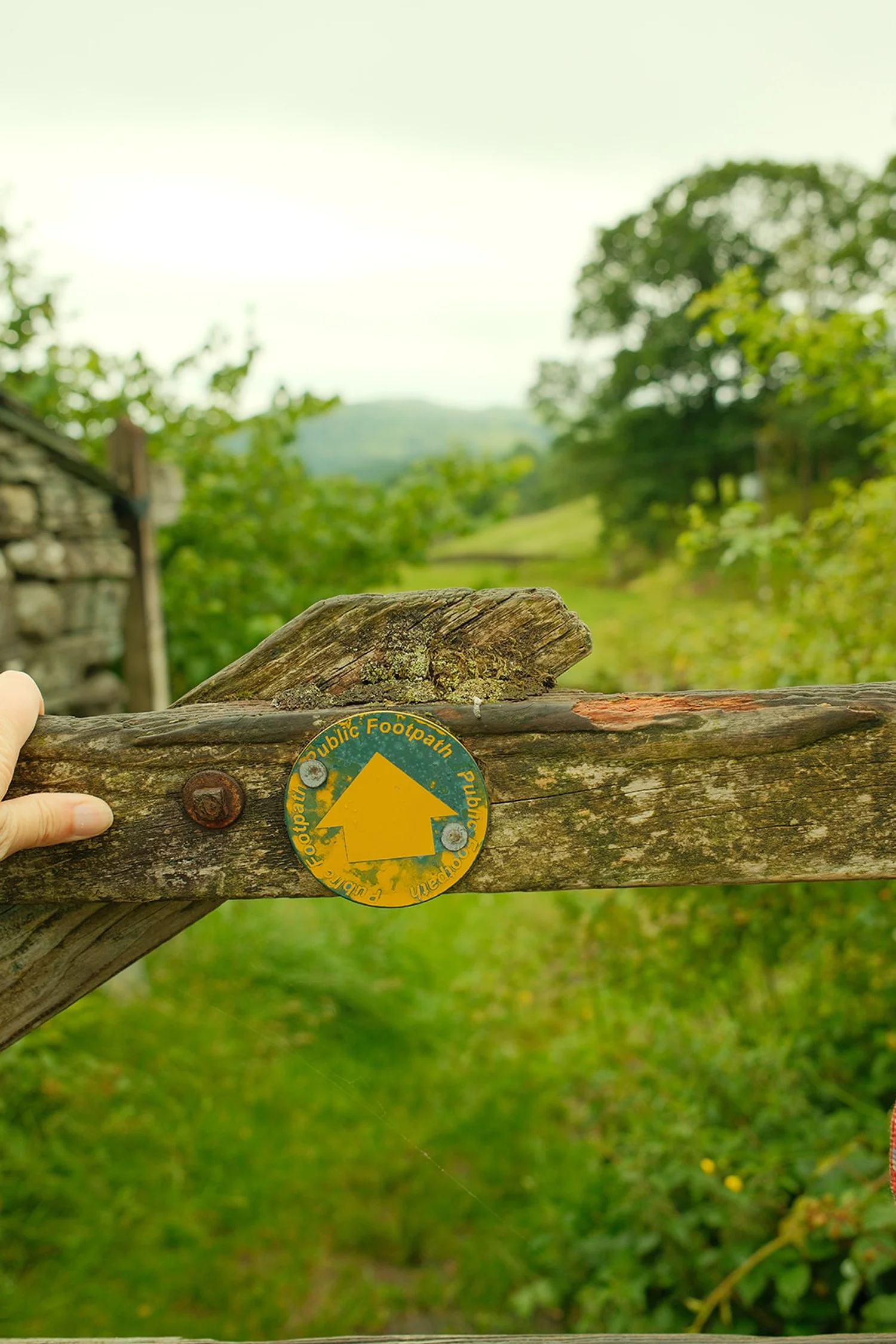 lake district cottage marketing help