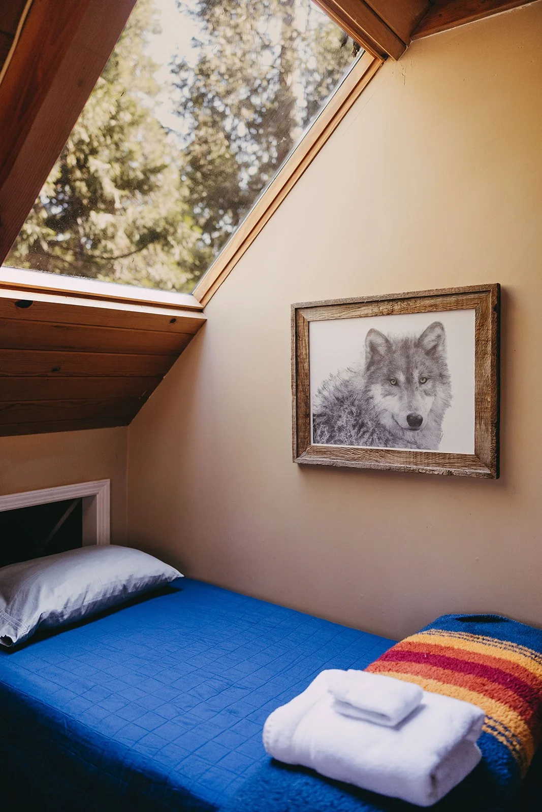 STR marketing agency