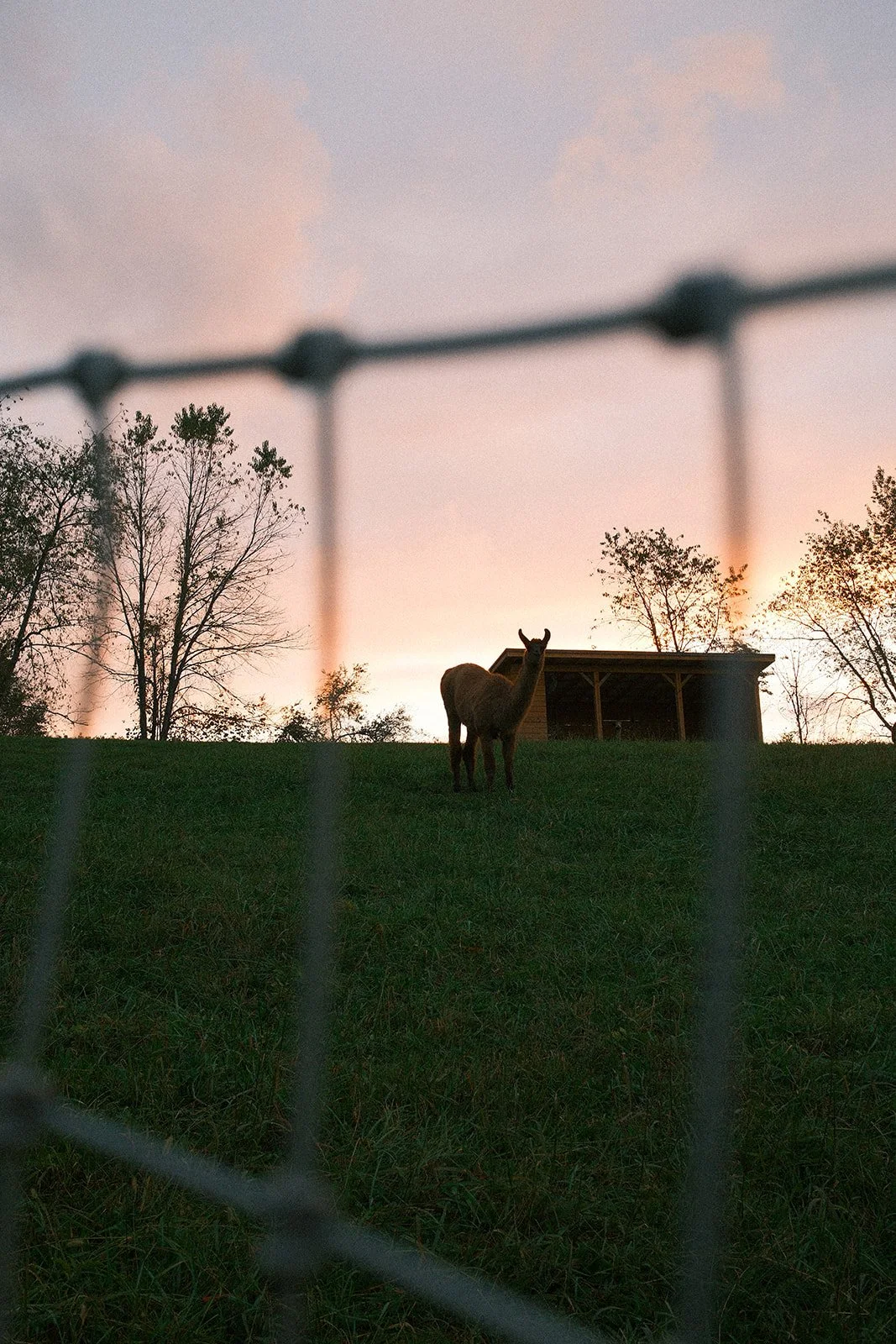 Airbnb Social Media Manager