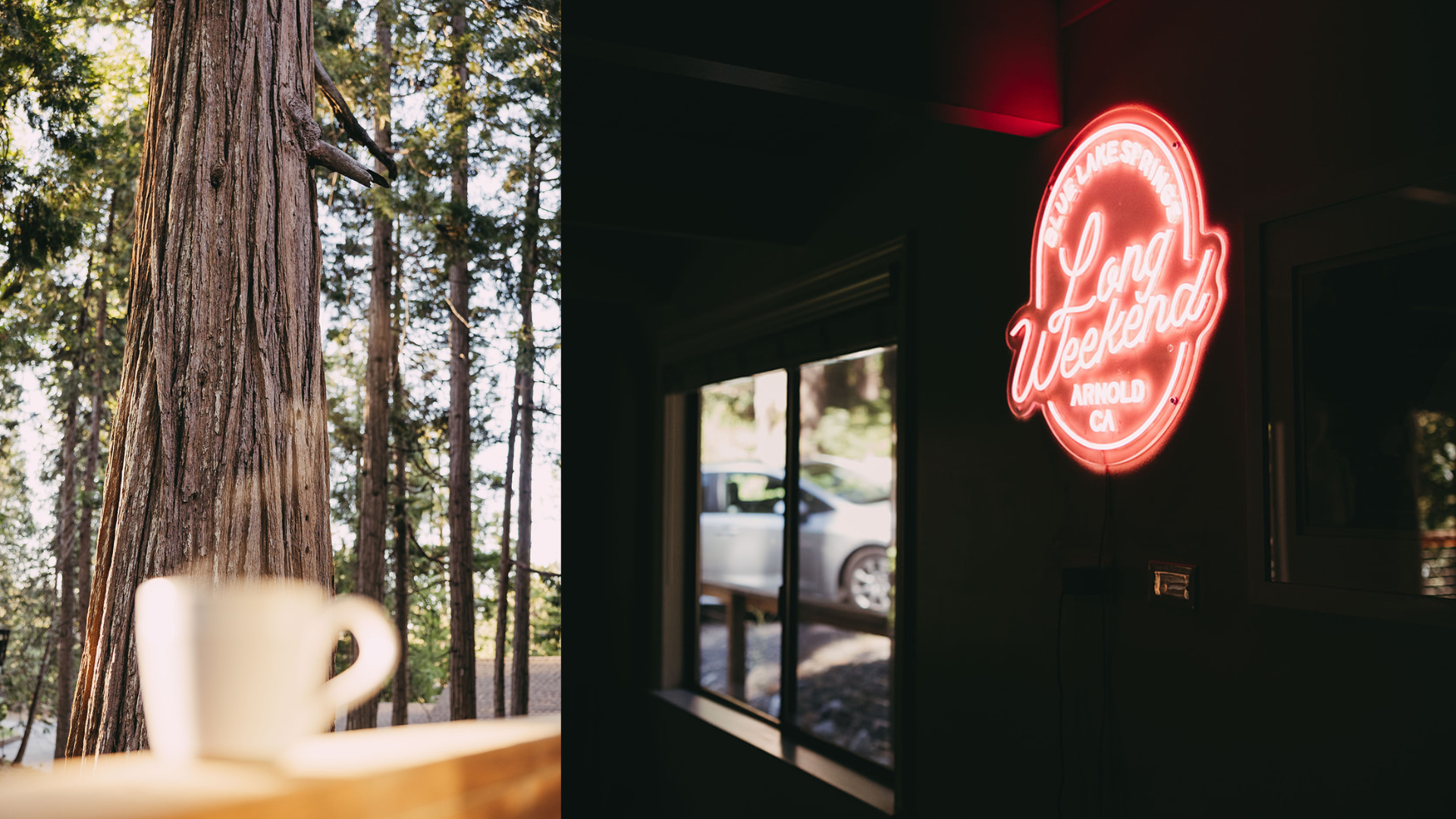 CABIN IN CALIFORNIA MARKETING EXAMPLE