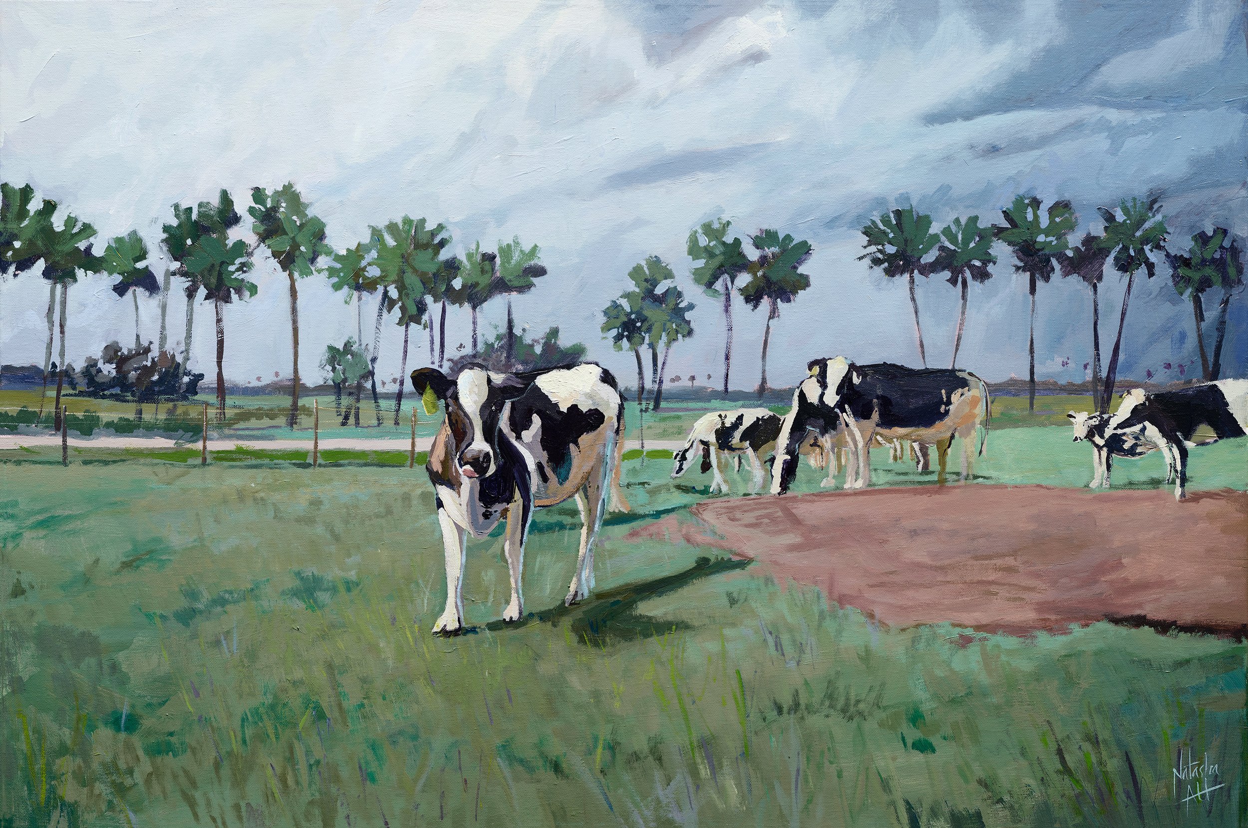 Coastal Cows