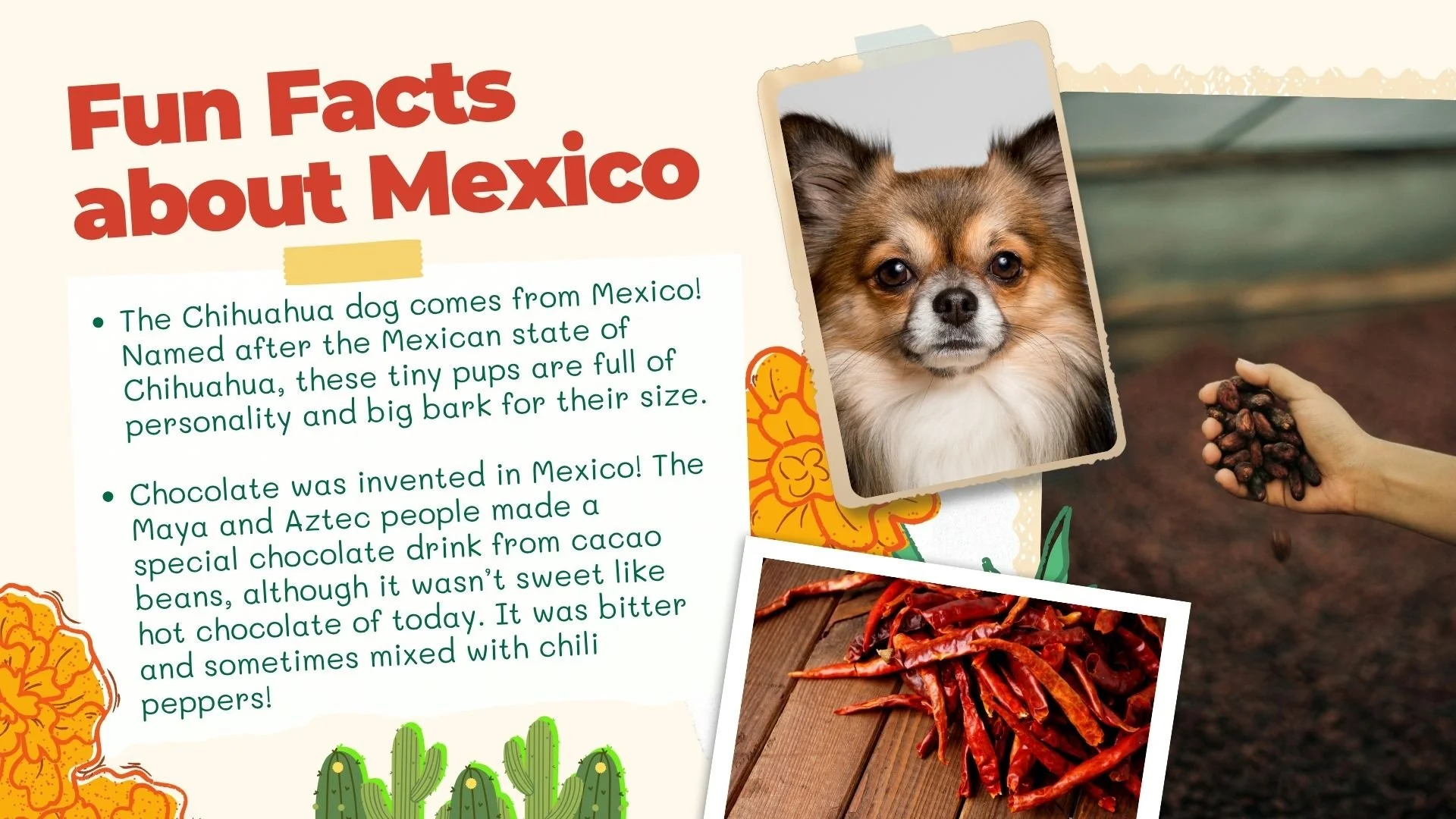 03 Mexico Fun Facts.jpg