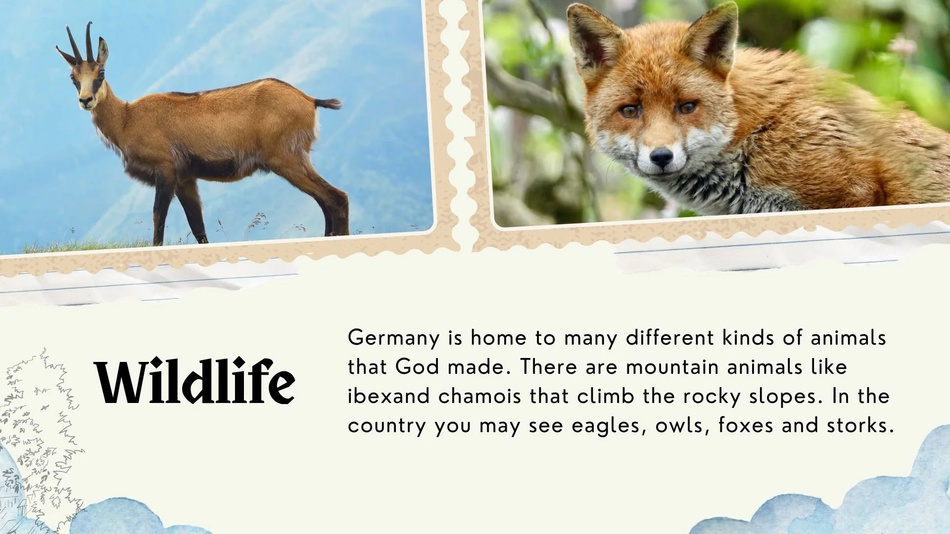 Passport Postcard Preschool Germany Wildlife.jpg