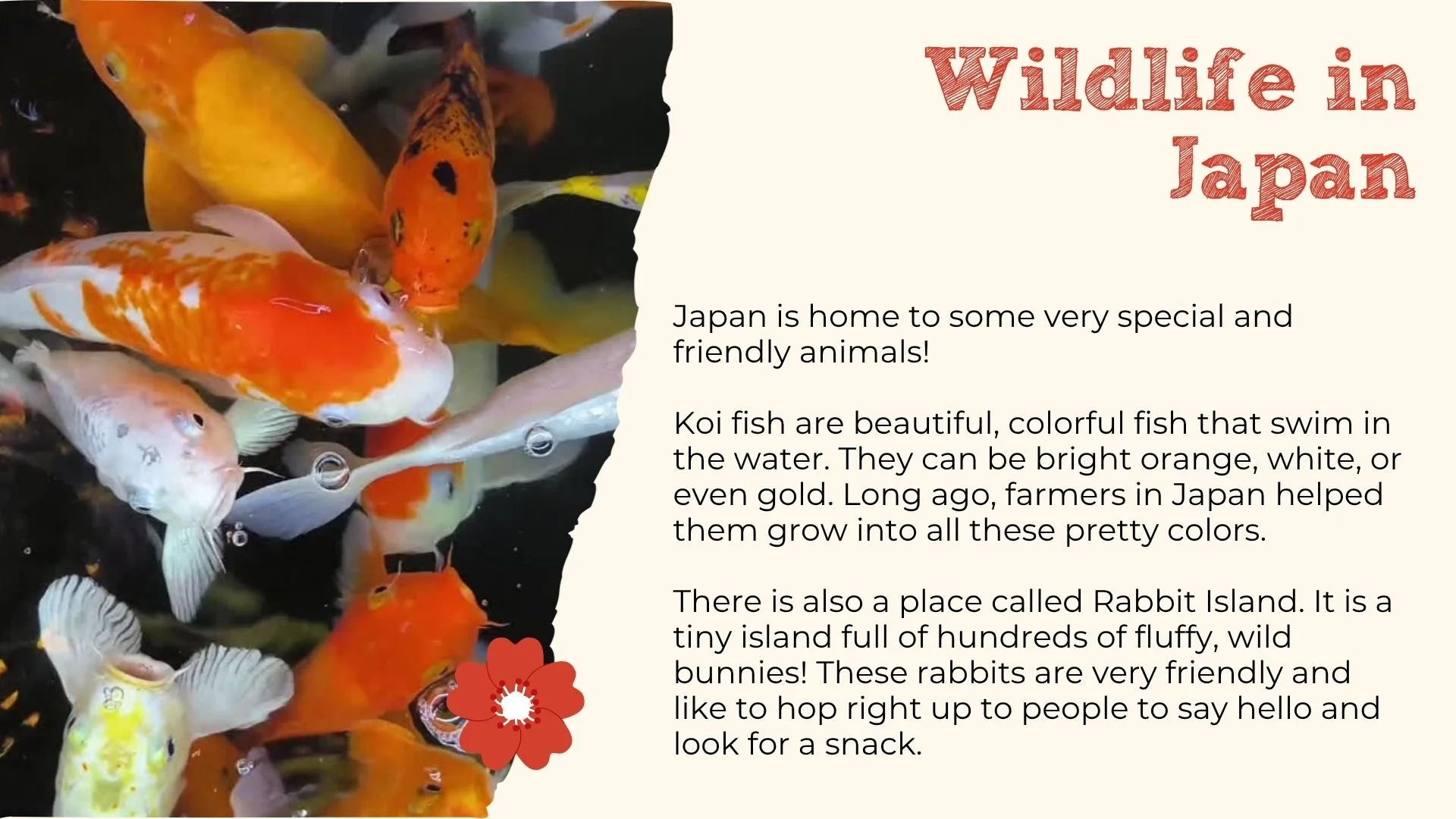 Passport Postcards Preschool Japan (5).jpg