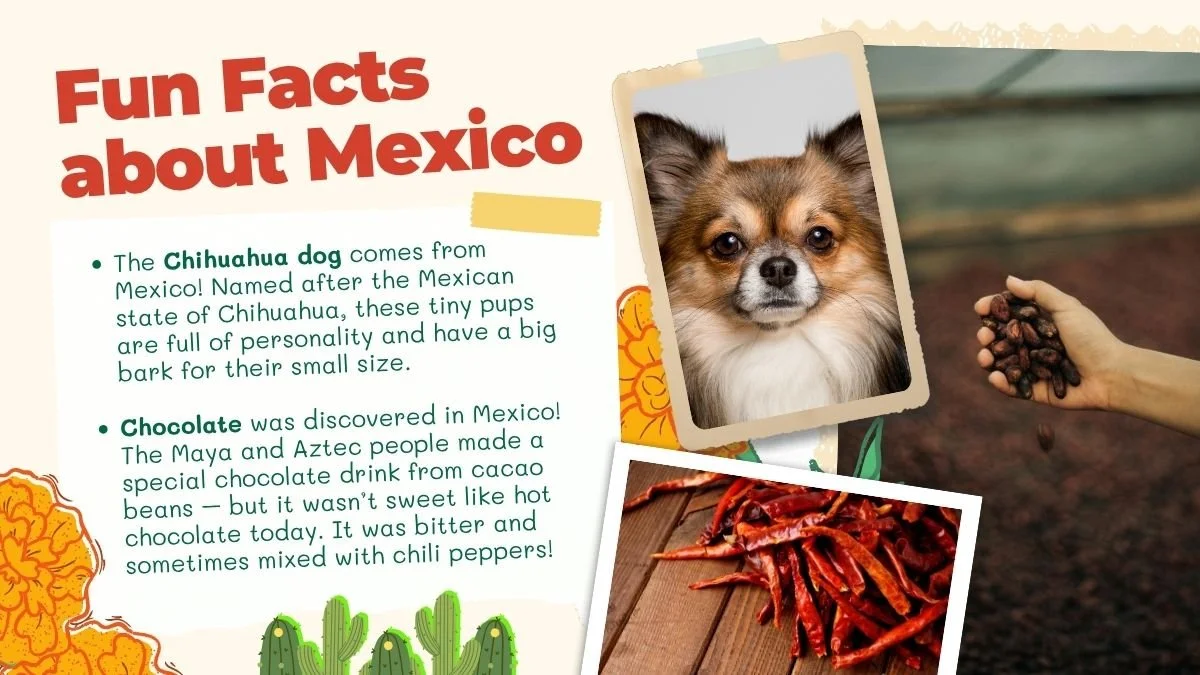 03 Passort Mexico Preschool Fun Facts.jpg