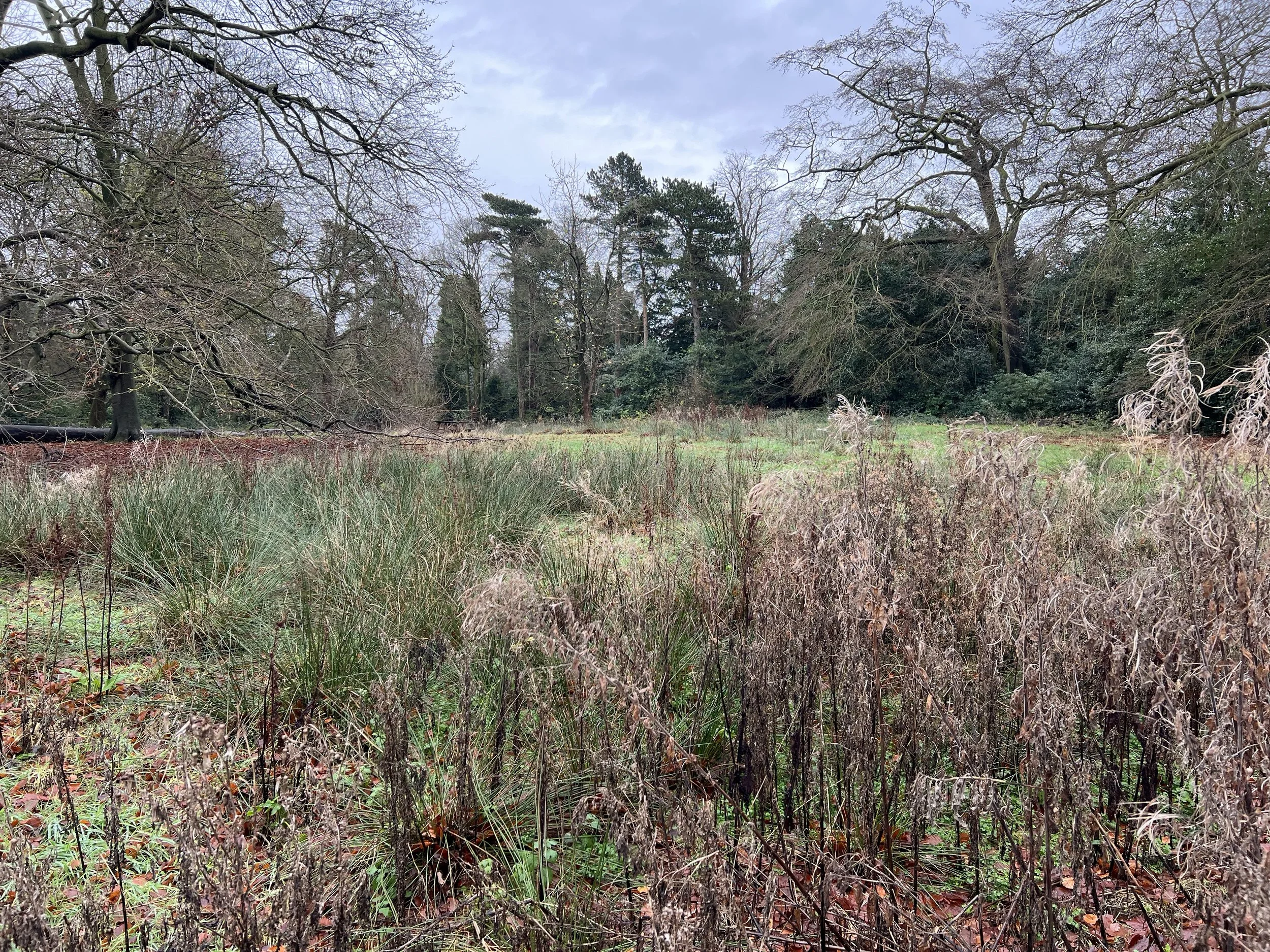 An image of the Float House.