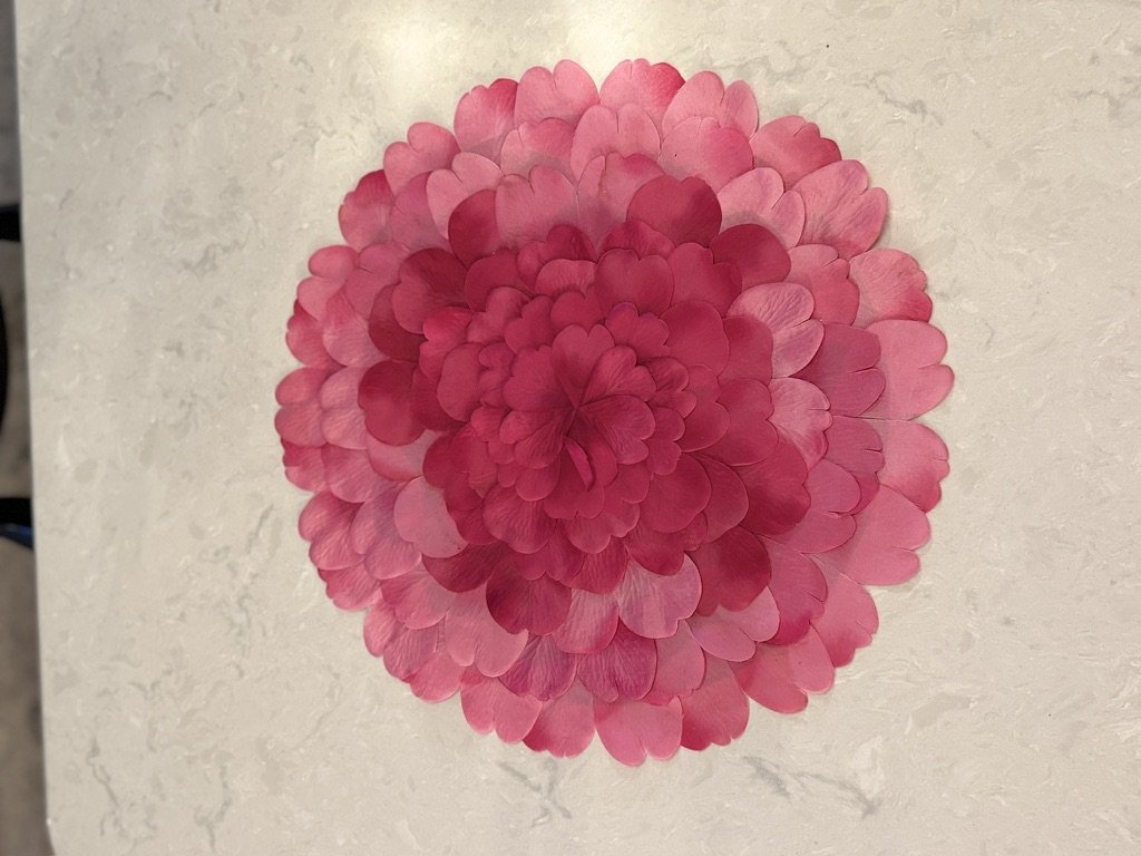 A circular arrangement of layered pink petals resembling a flower, placed on a light speckled surface.