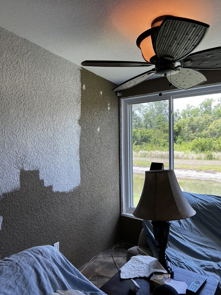 Room interior with a mismatched wall paint section, ceiling fan, table lamp, window view of outdoors, and furniture covered by blue cloth.