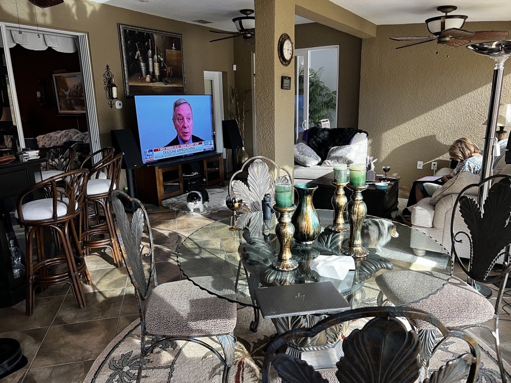 Living room with glass table, ornate chairs, and decor items. A TV displaying a news channel is on, and a person sits on a couch with a tablet. A cat is on the floor.