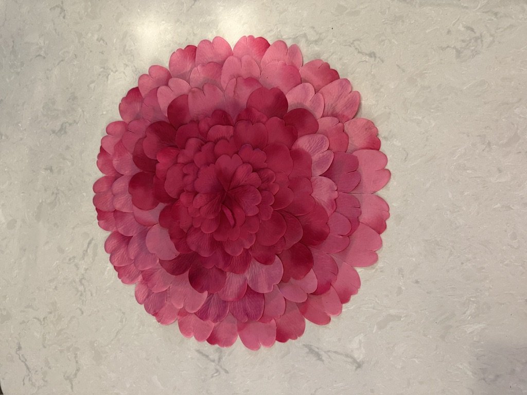A circular arrangement of pink and red petals on a light background.