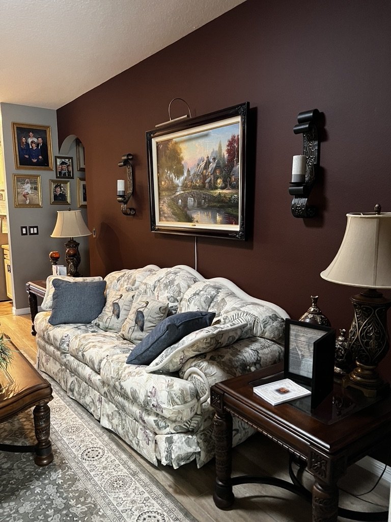 Living room with floral print sofa, decorative pillows, dark brown wall, framed artwork, side table with lamp, and rug with intricate pattern.