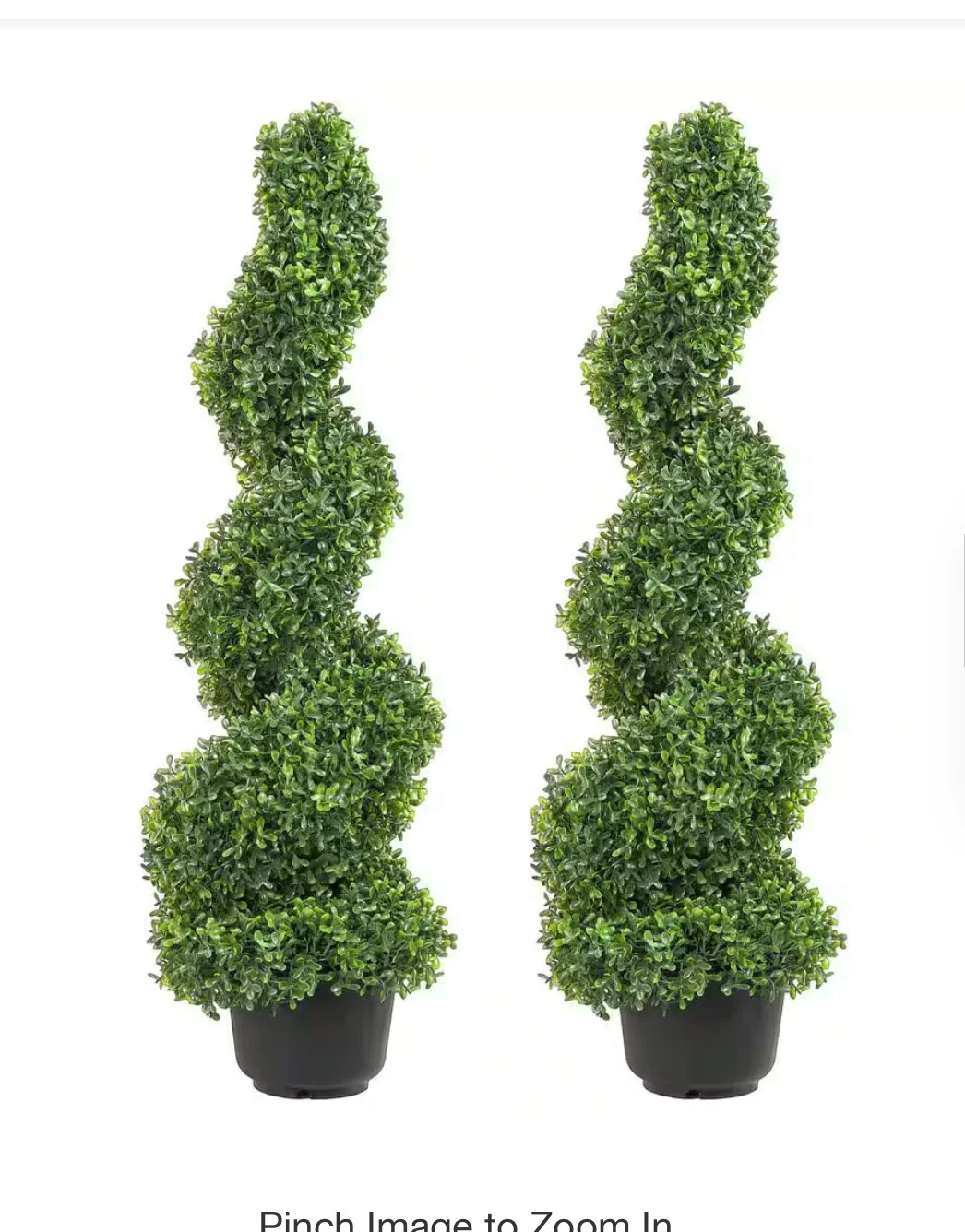 Two spiral topiary plants in black pots against a white background.