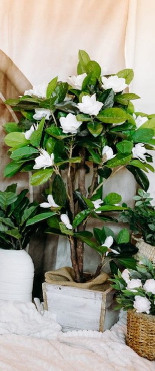 Artificial magnolia tree with white flowers in a white wooden planter, surrounded by other potted plants, displayed indoors.