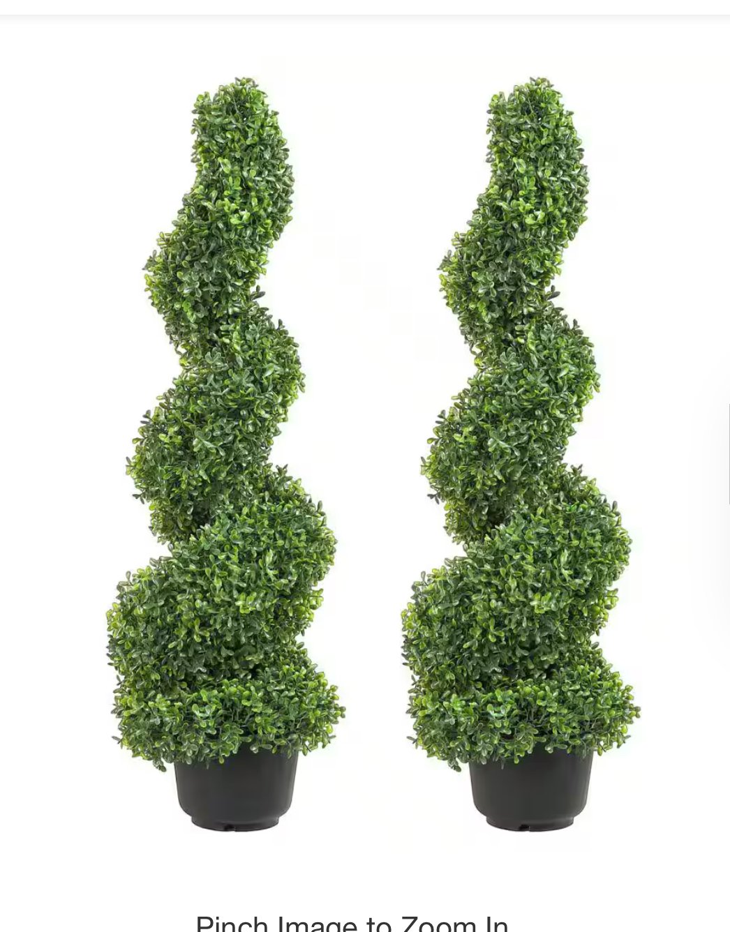 48 inch Topiaries Boxwood Trees (3-piece) rental. $50.00 a piece rental