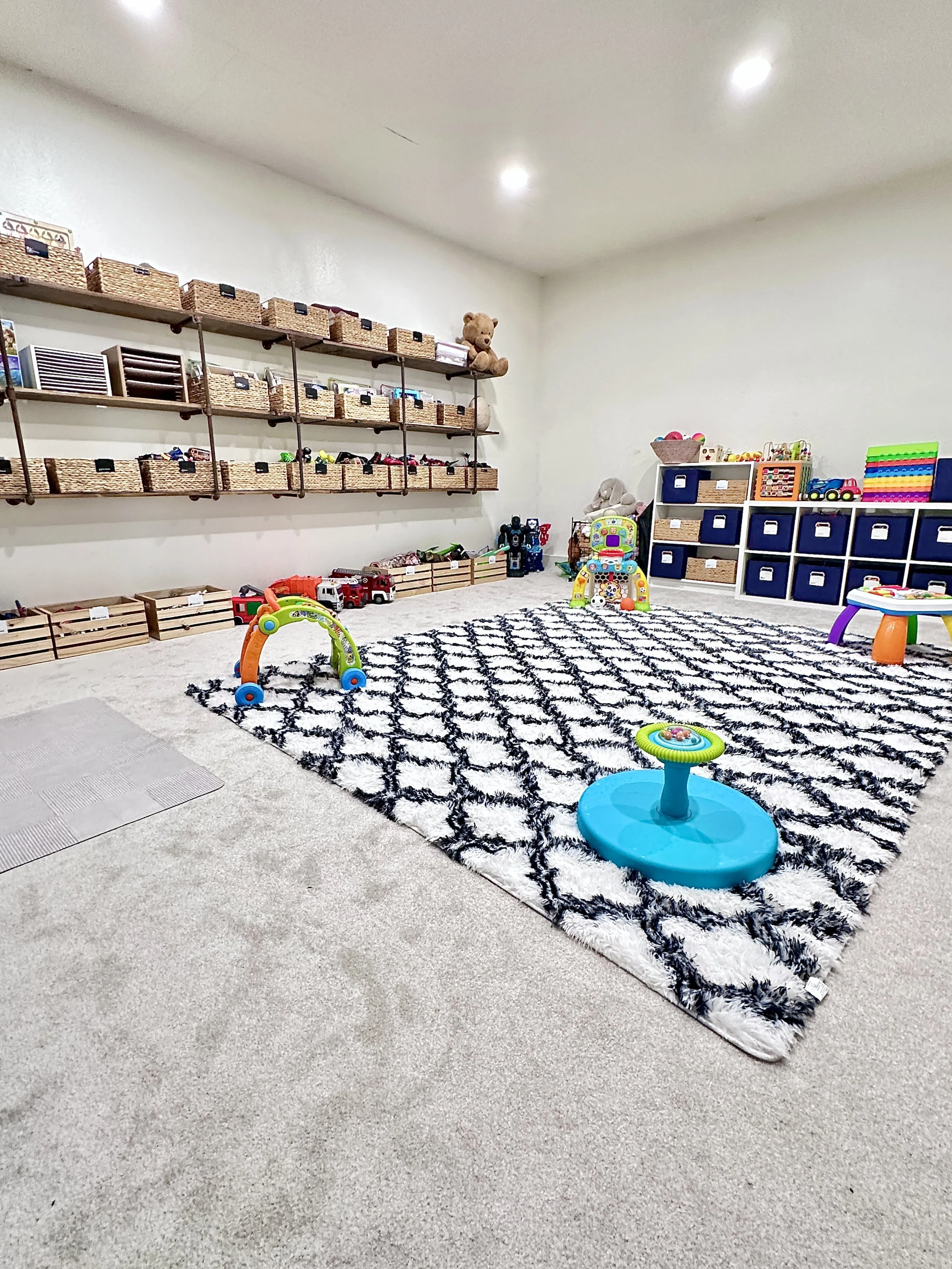 Playroom Organization Plano