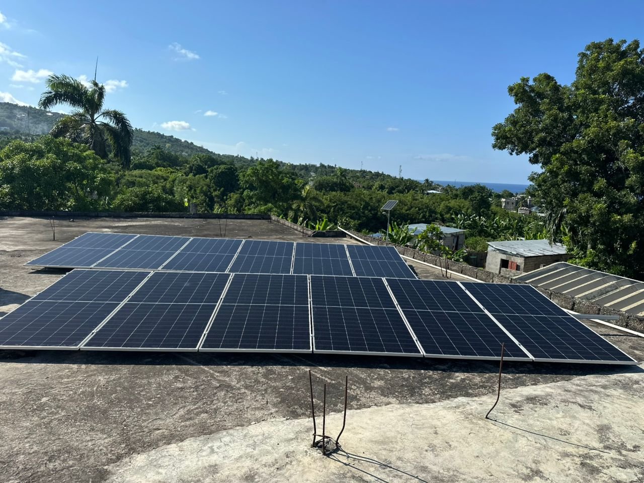 WhatsApp Image 2025-08-07 at 16.36.03.jpeg