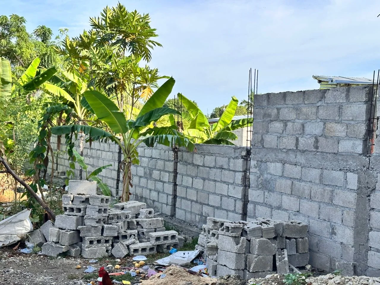 WhatsApp Image 2025-08-12 at 09.10.37.jpeg