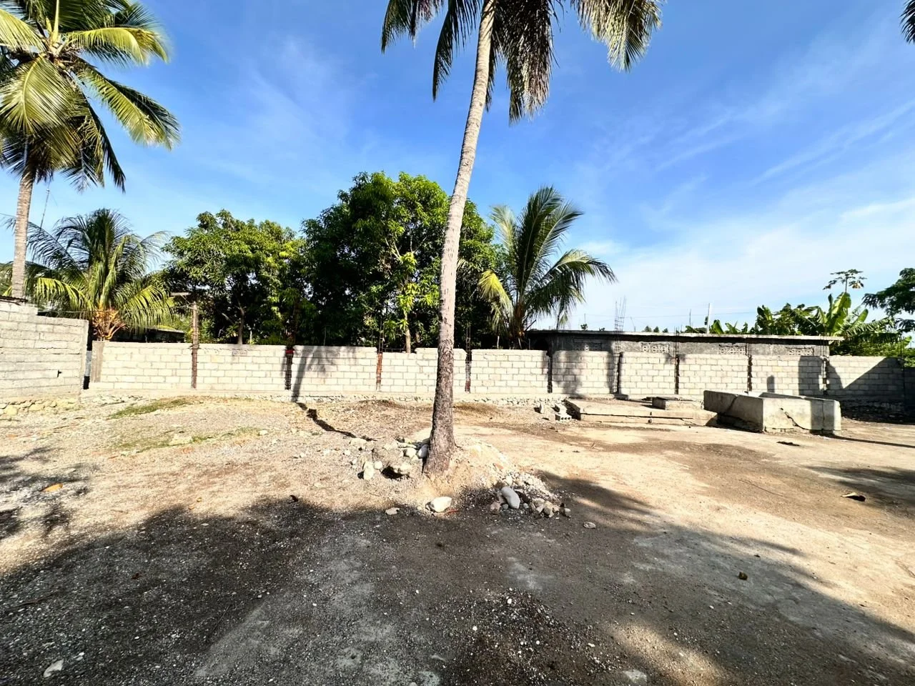 WhatsApp Image 2025-08-12 at 09.10.39.jpeg