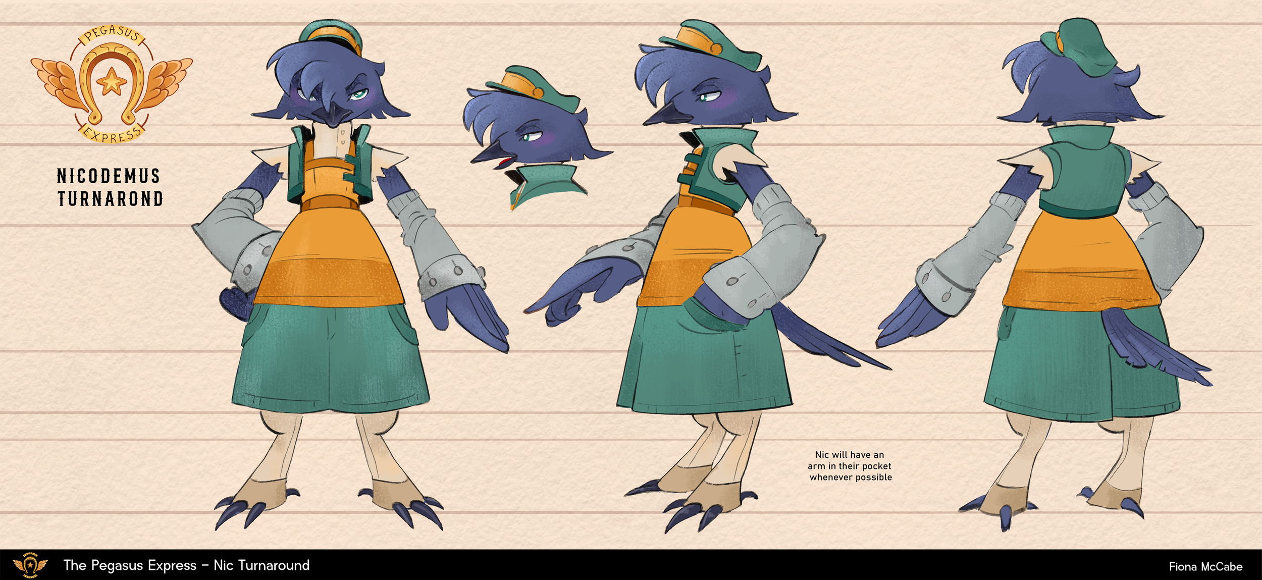 Nic Turnaround.png